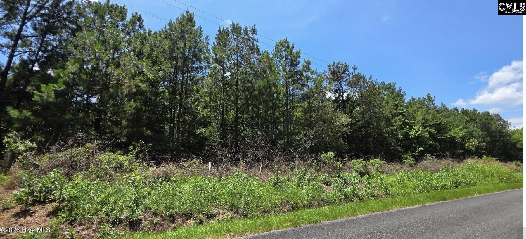 10 Acres Chestnut Ridge Road