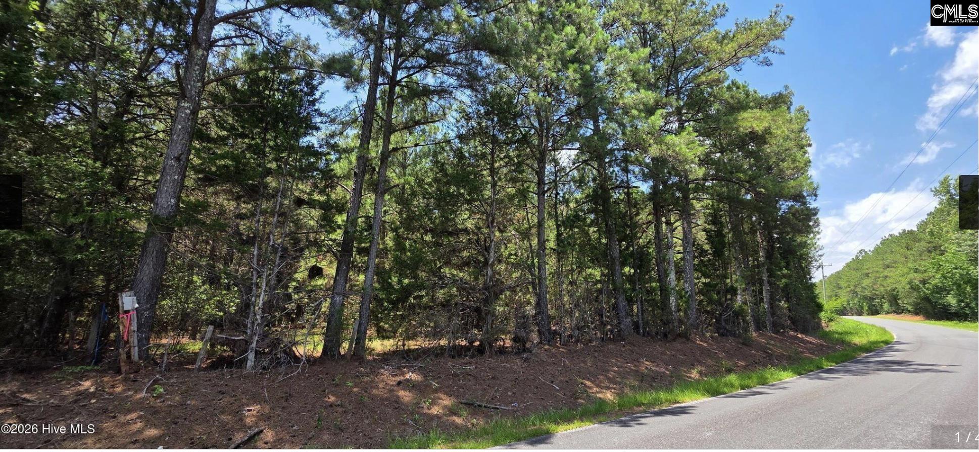 20 Acres Chestnut Ridge Road