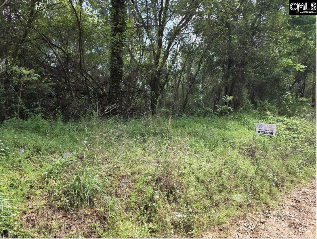 6 Acres Woodberry Lane