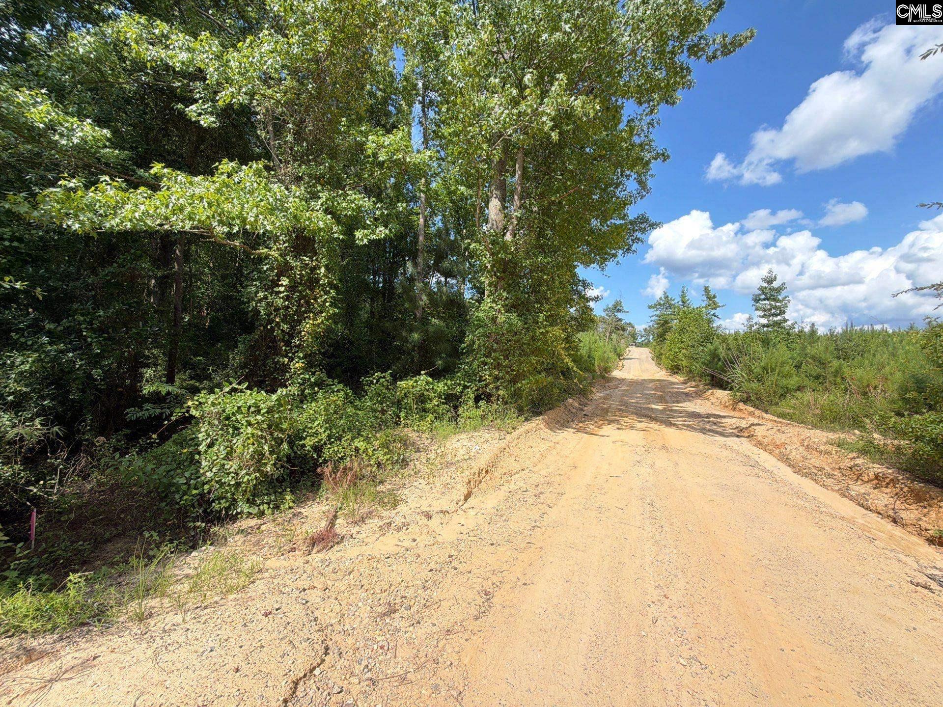 BTF 2 Bradley Trail