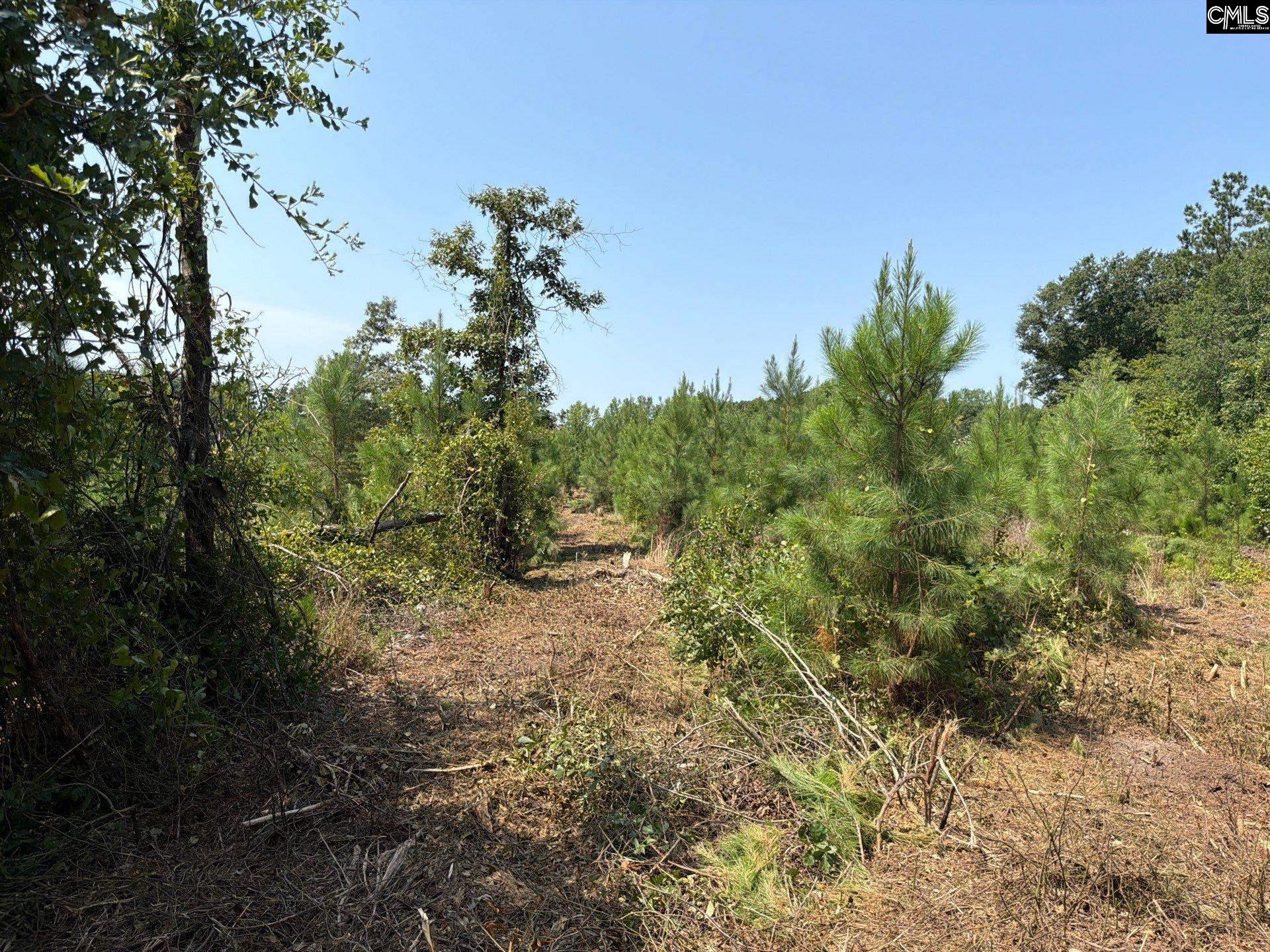 BTF 2 Bradley Trail