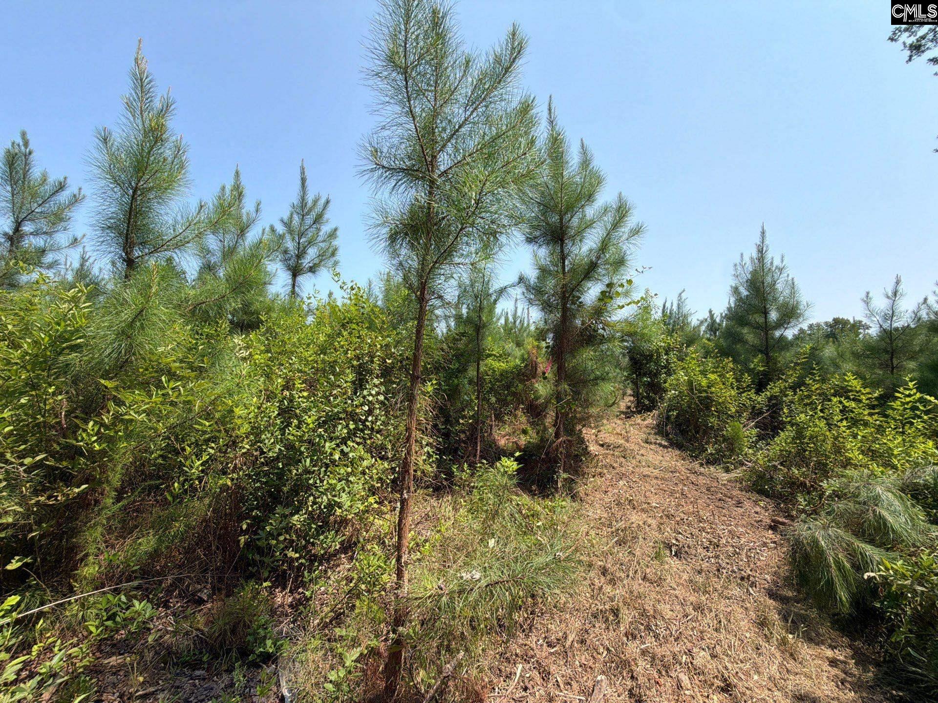 BTF 5 Bradley Trail