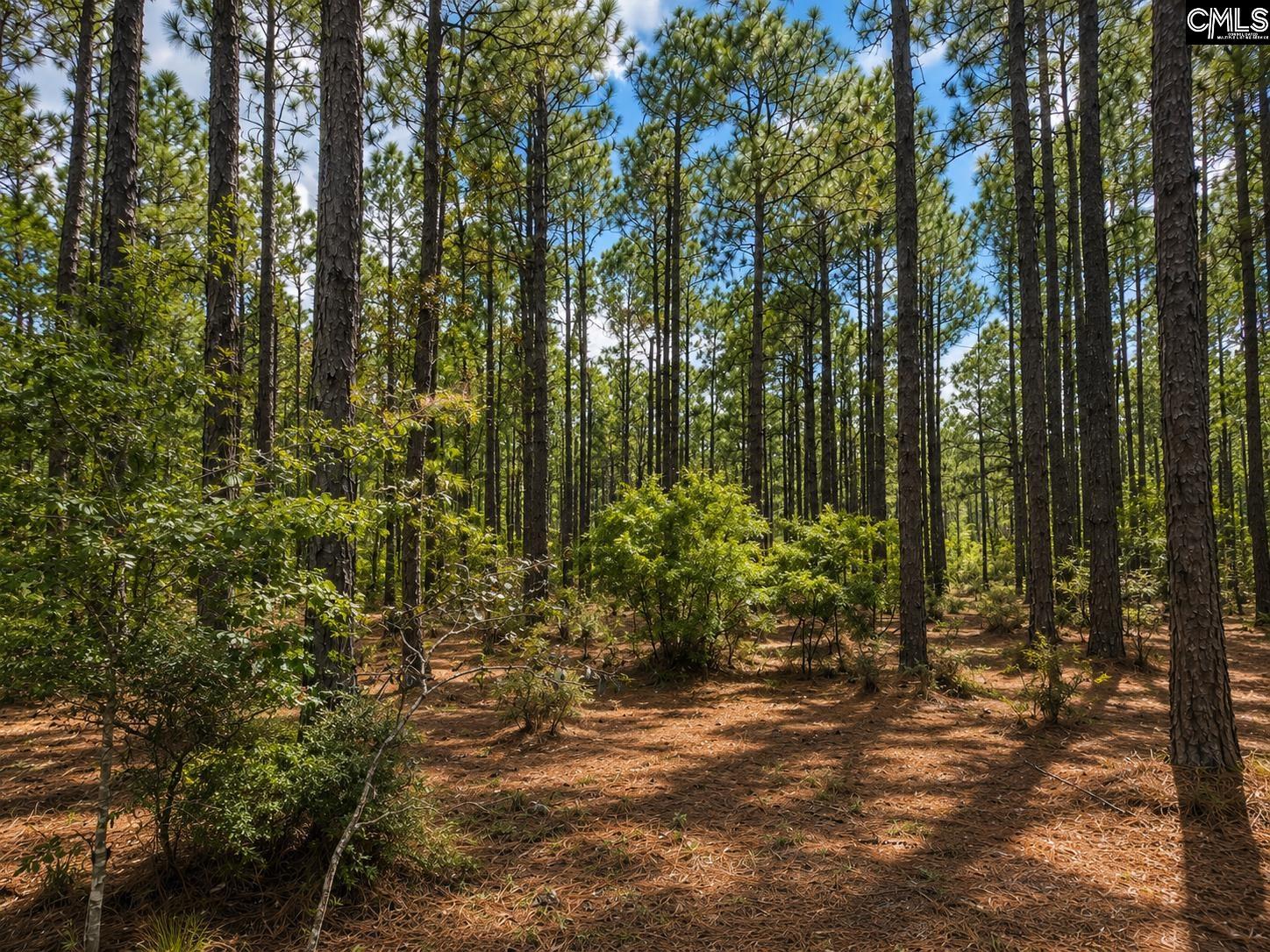 TBD Gantt Mill Road