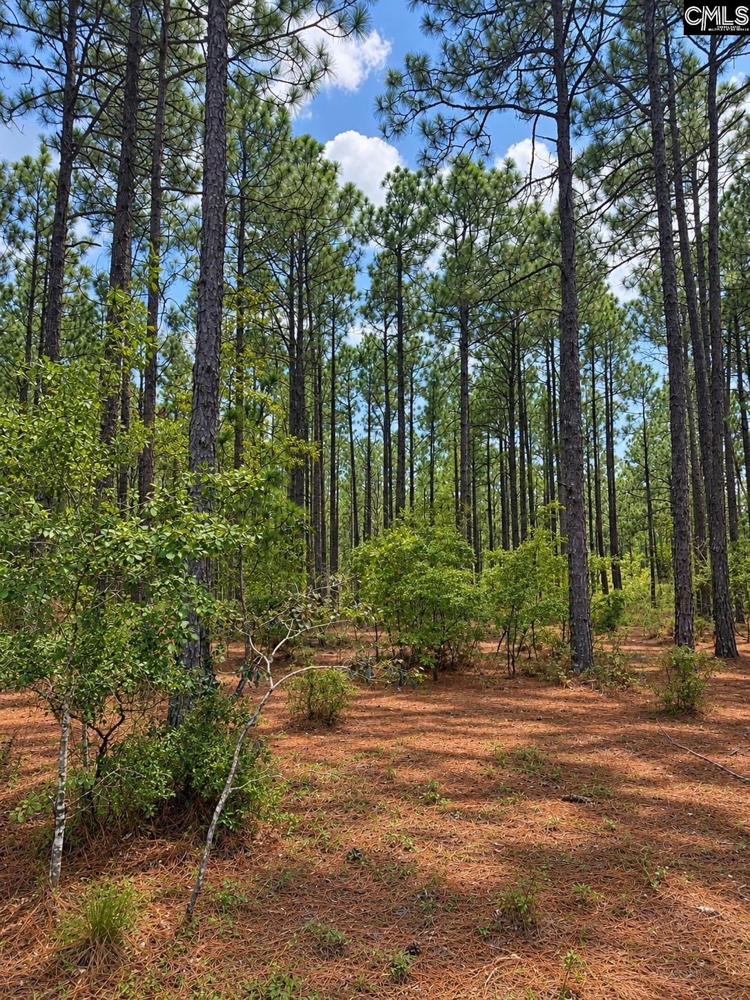 TBD Gantt Mill Road
