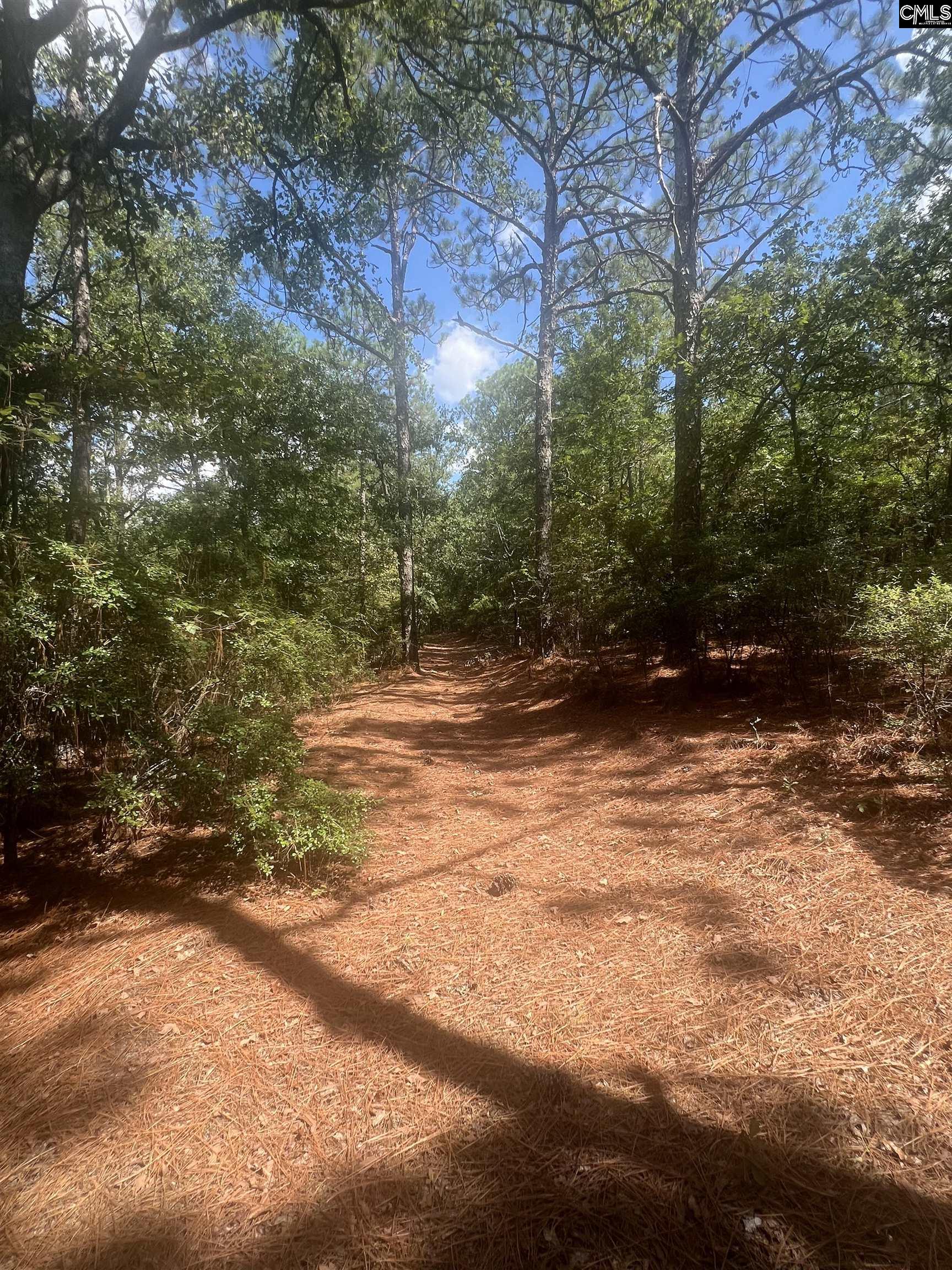 1529 Elbert Taylor Road