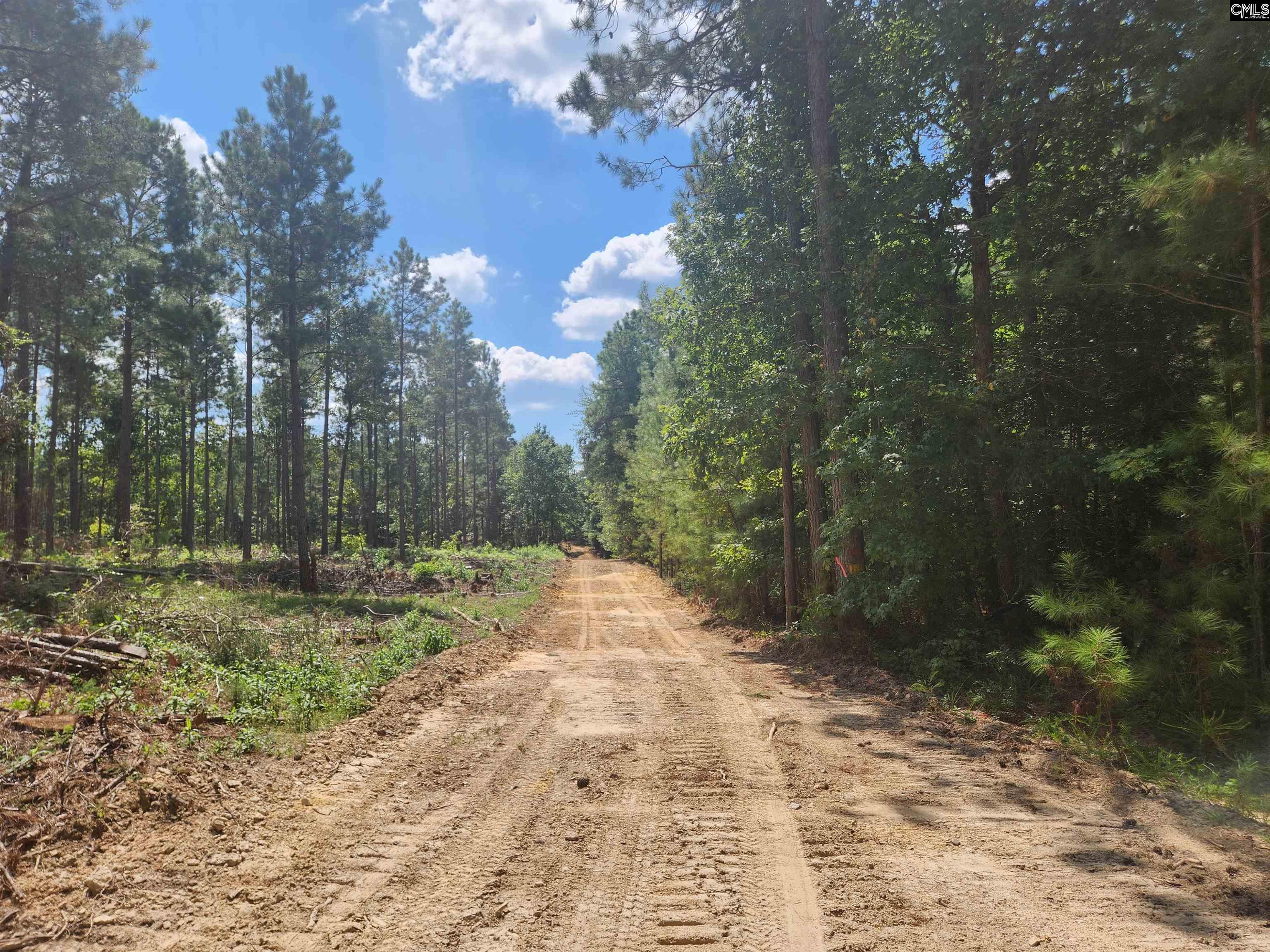 Tract 1 Hoke Road