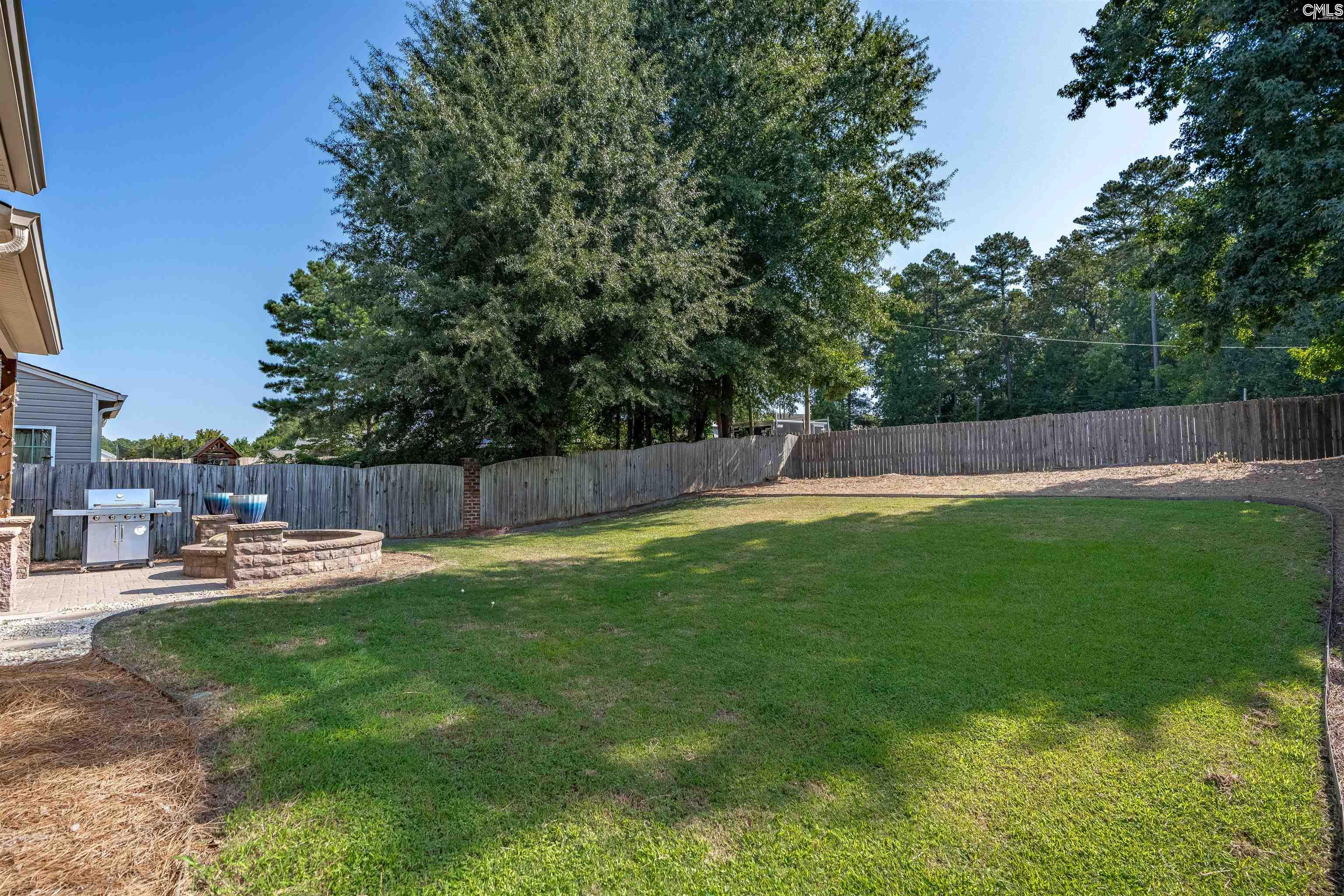 181 Palm Street, Chapin — photo 47