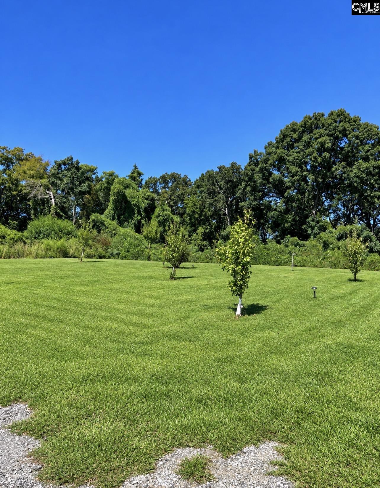 1411 Holy Trinity Church Road, Chapin — photo 24