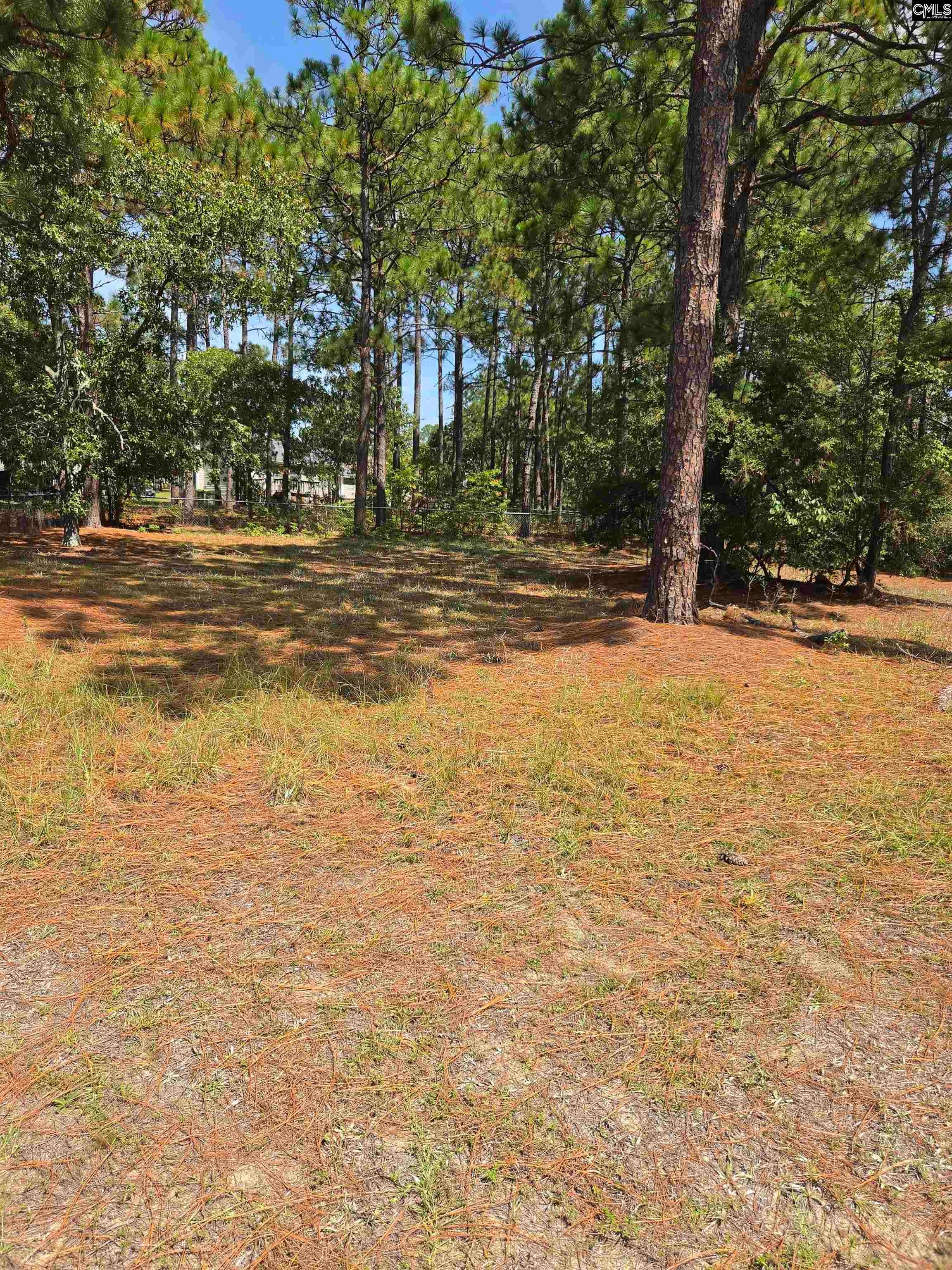 220 Branch Hill Drive