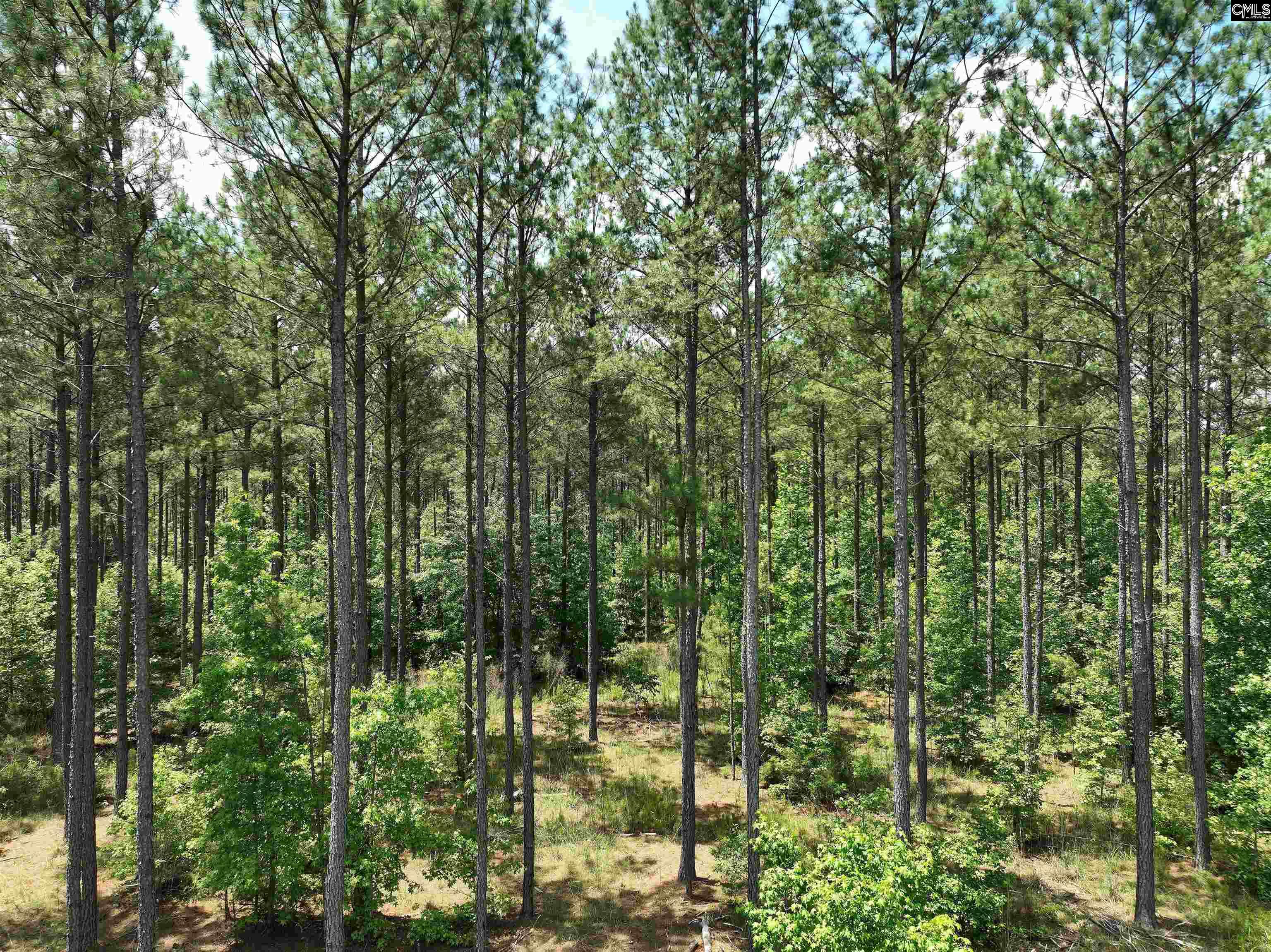 TBD Elford Grove