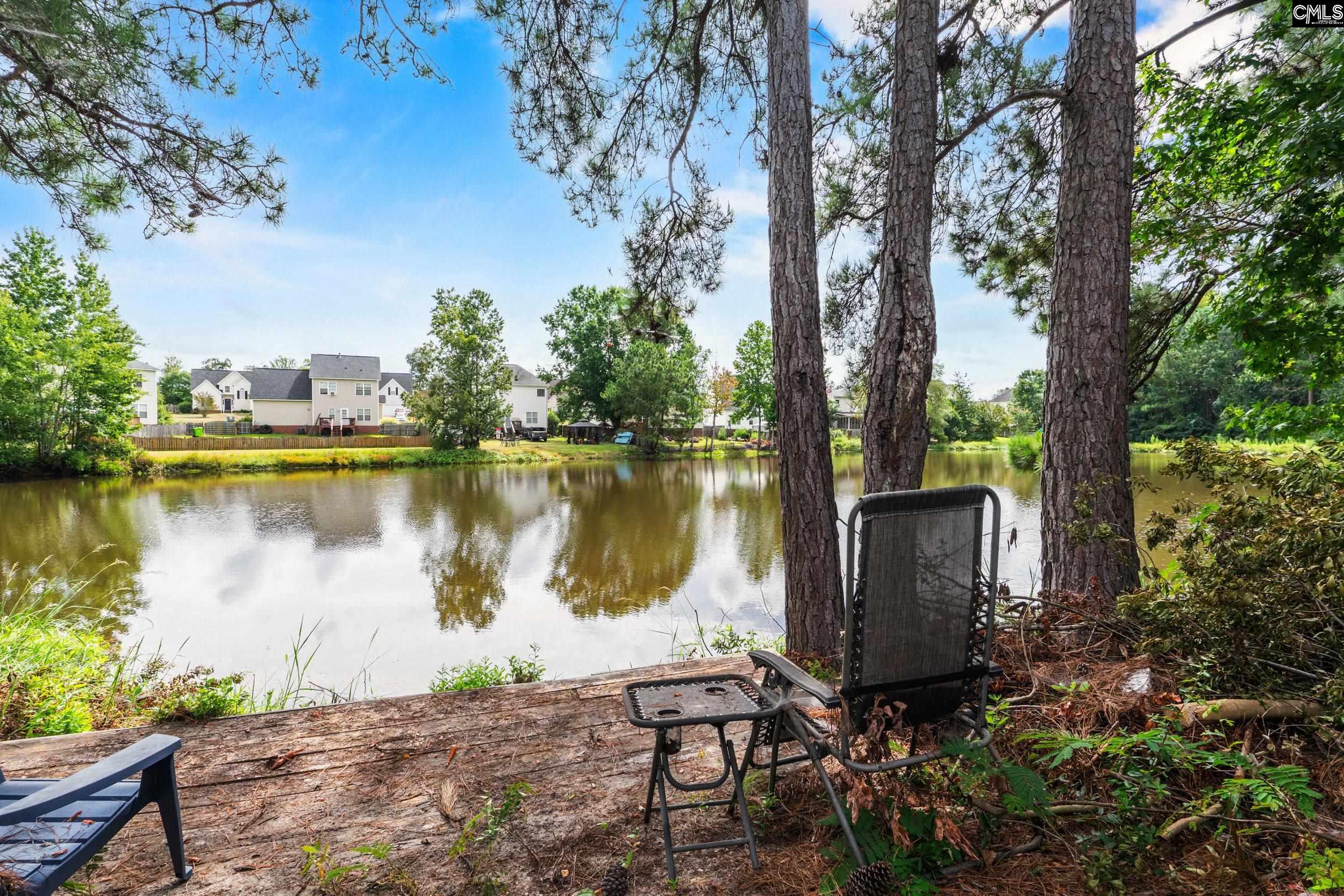 153 Summer Pines Drive, Blythewood — photo 30