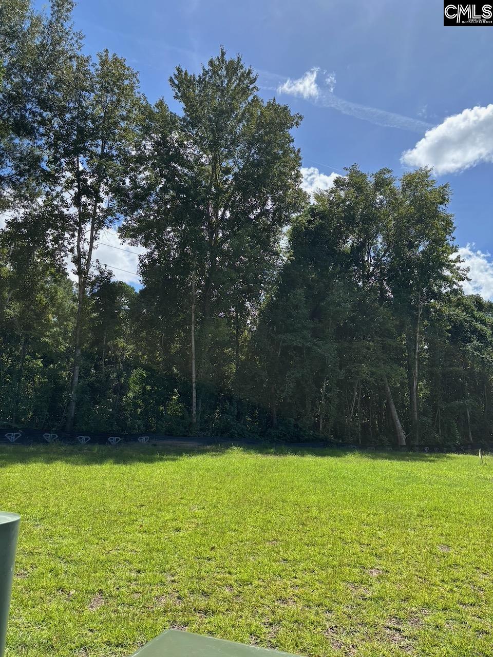  Shine