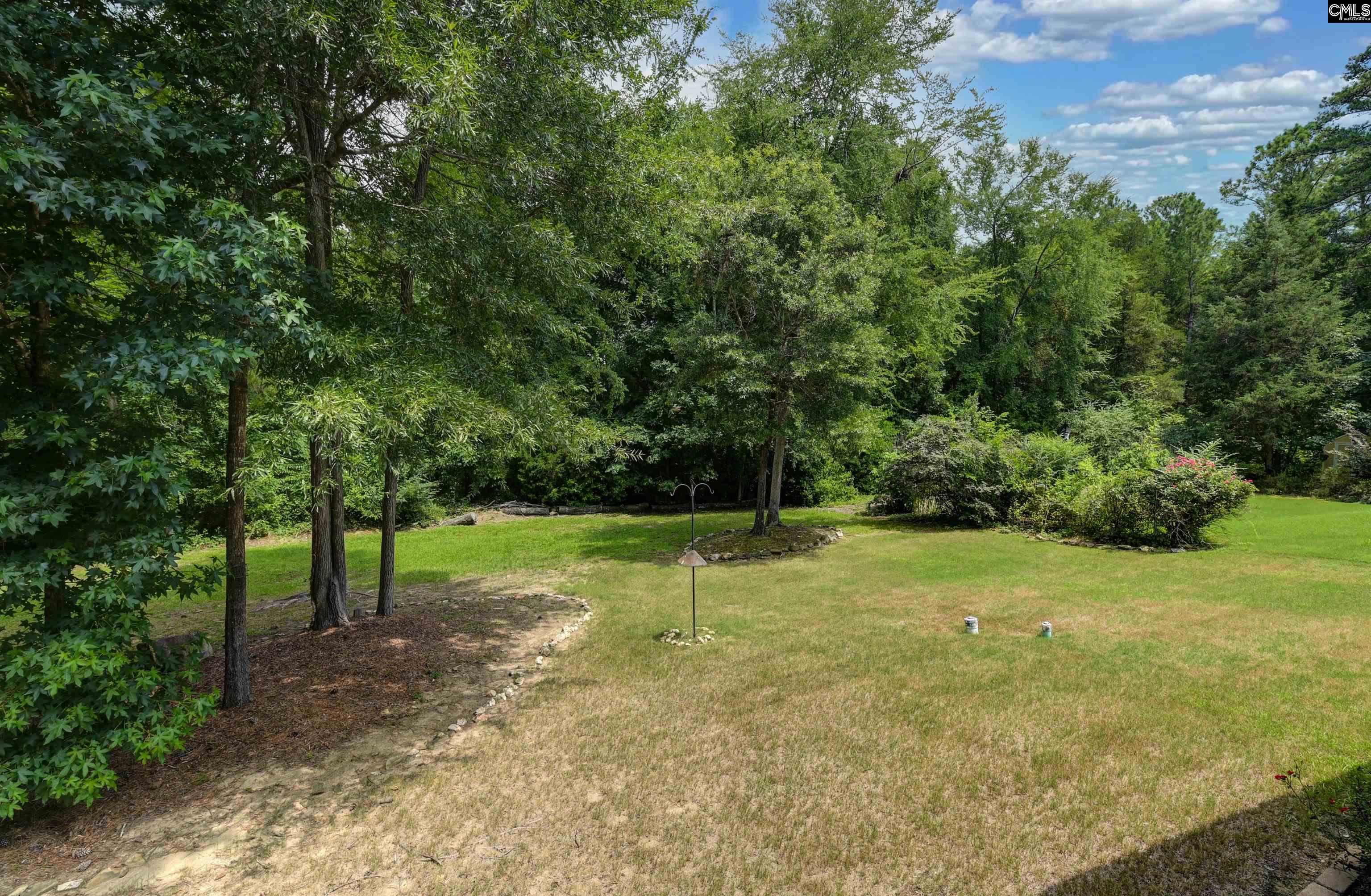 769 Dutchmans Branch Court, Irmo — photo 65