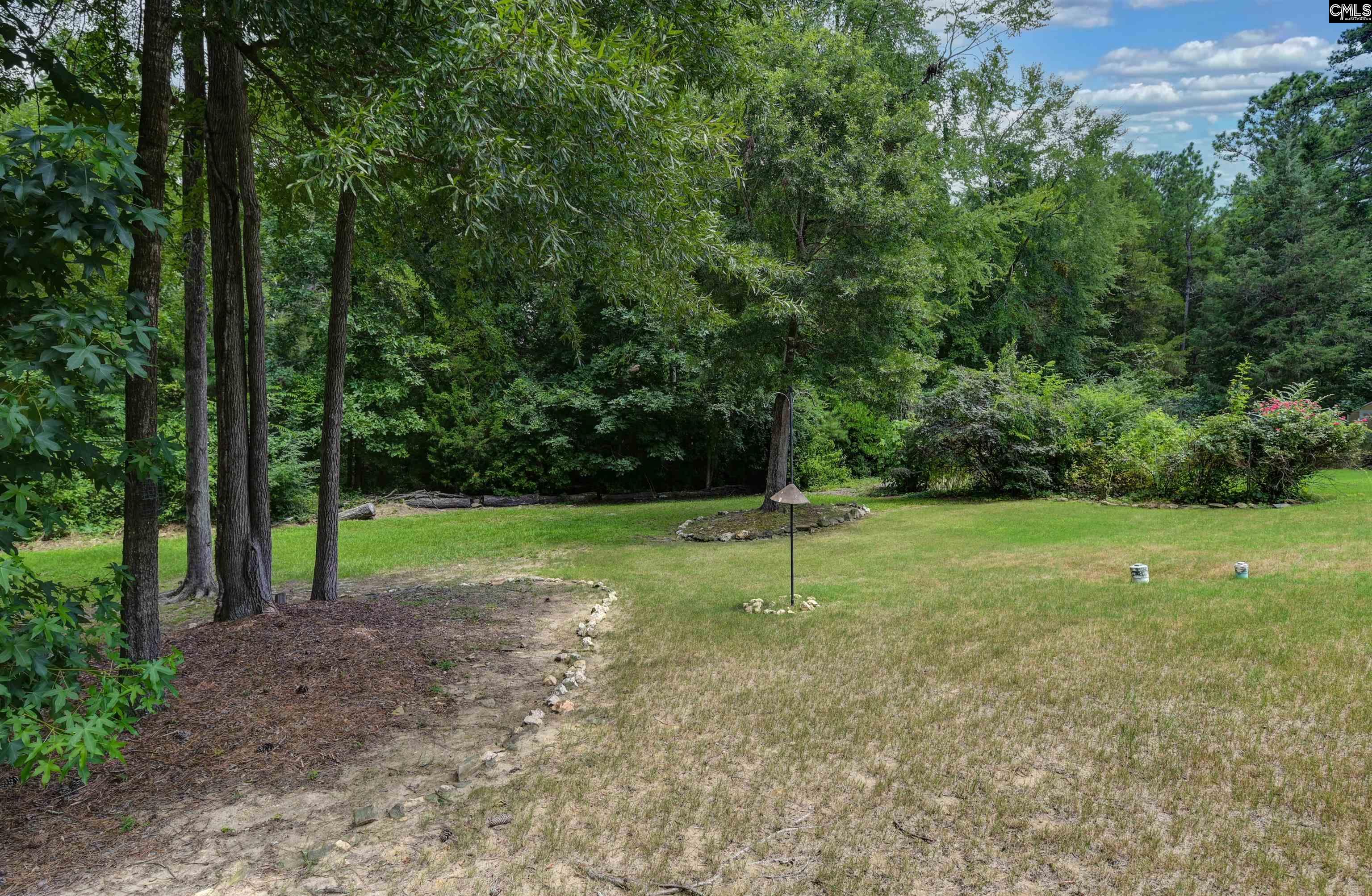 769 Dutchmans Branch Court, Irmo — photo 68