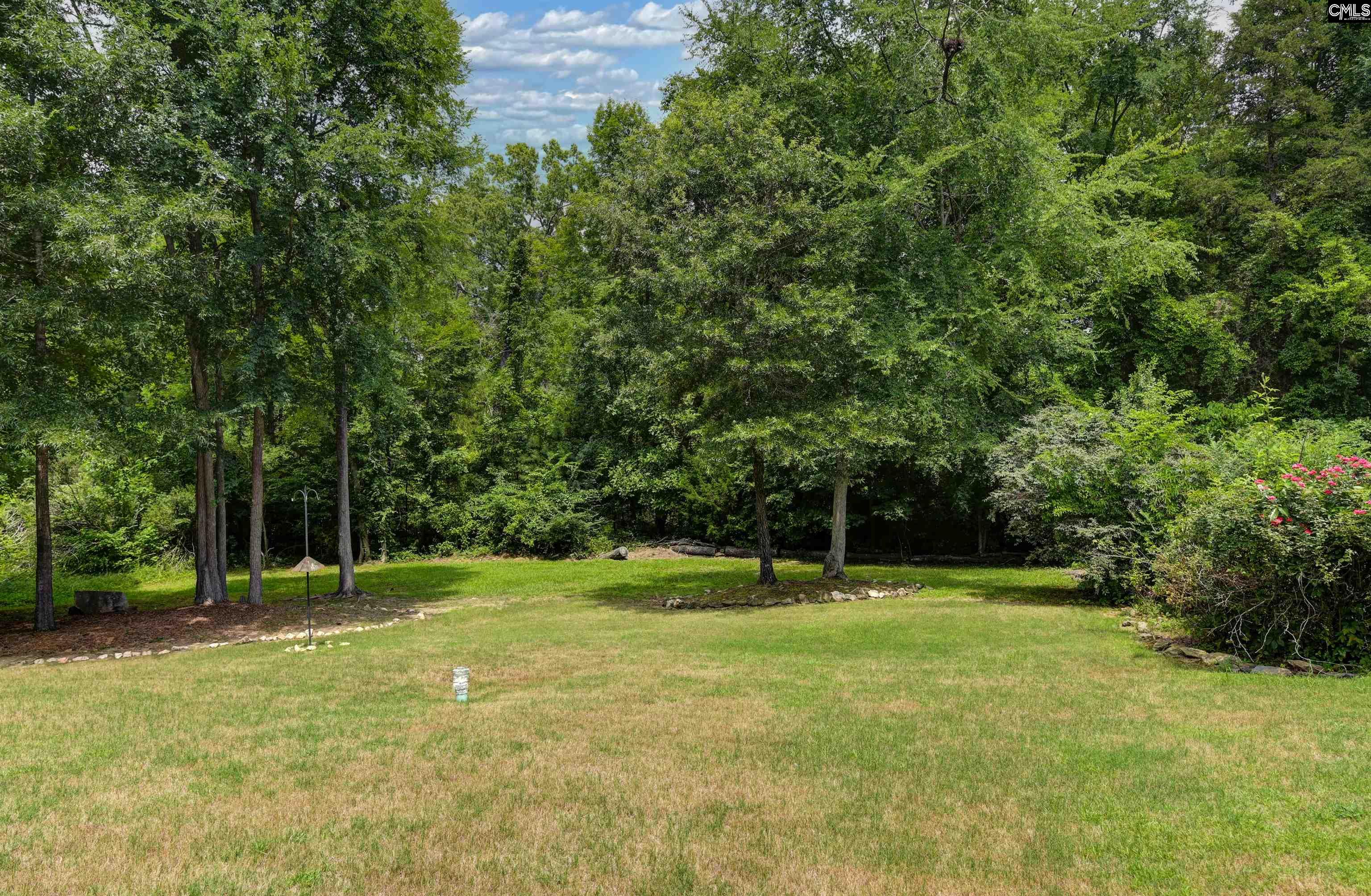 769 Dutchmans Branch Court, Irmo — photo 69