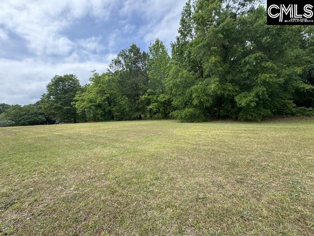 6009-B Wescott Road, Irmo — photo 8