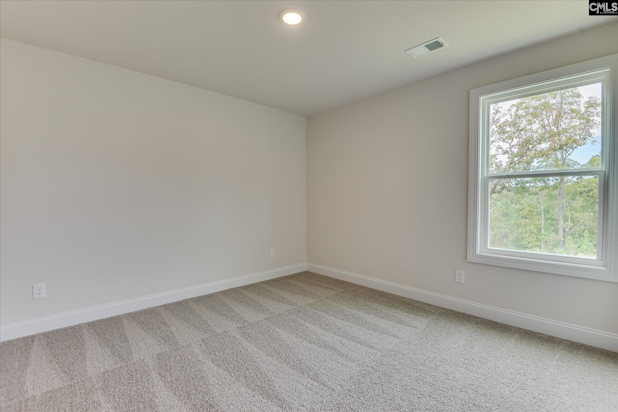 35 Spider Web Drive, Blythewood — photo 32