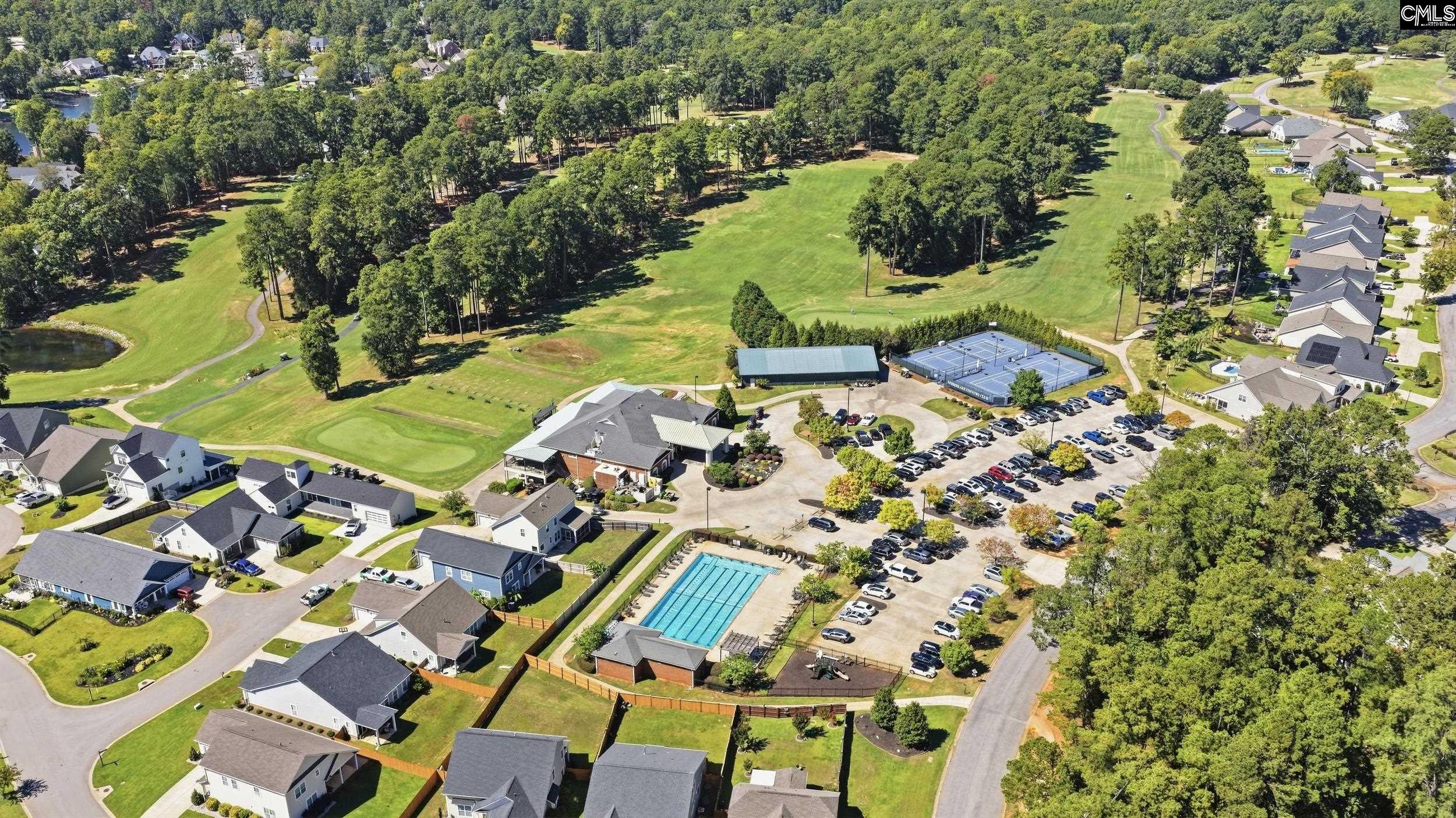 108 Water Links Drive, Chapin — photo 54