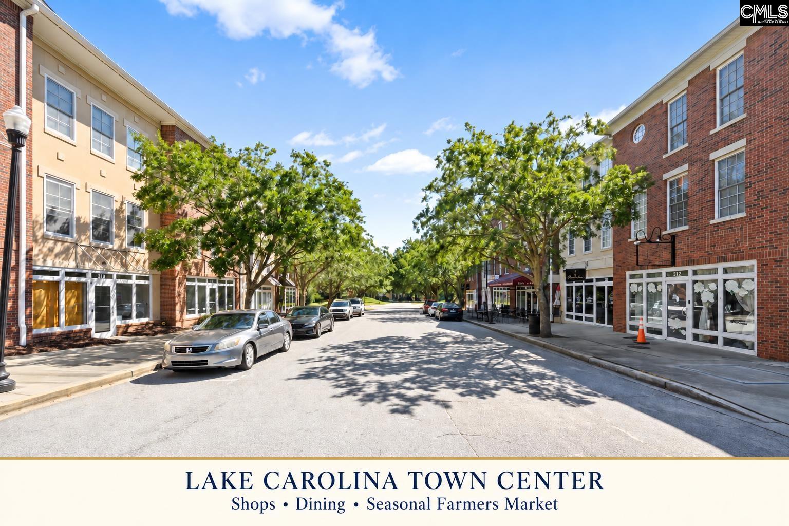 310 Castleburg Lane, Columbia — photo 44