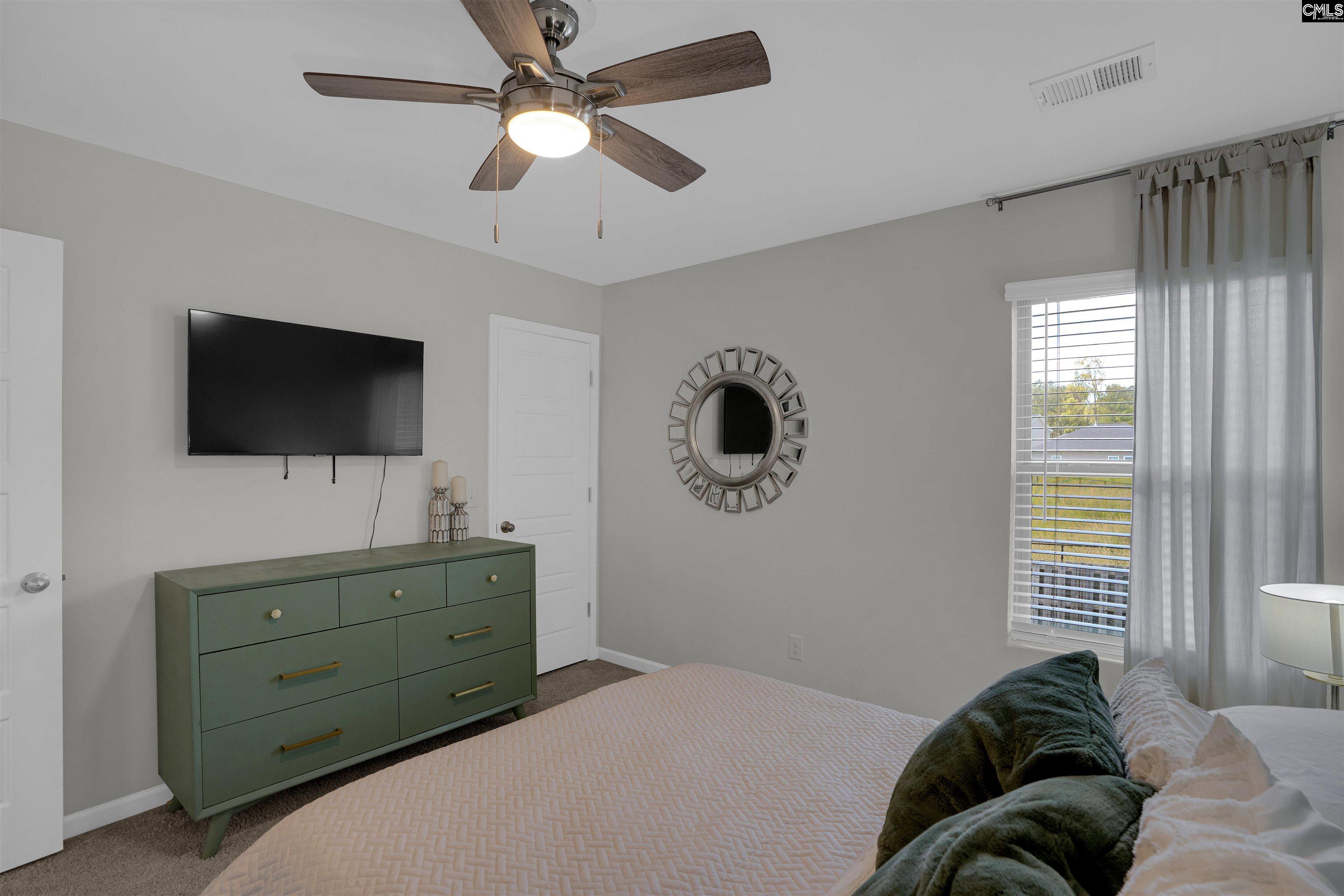 253 Bickley View Court, Chapin — photo 14