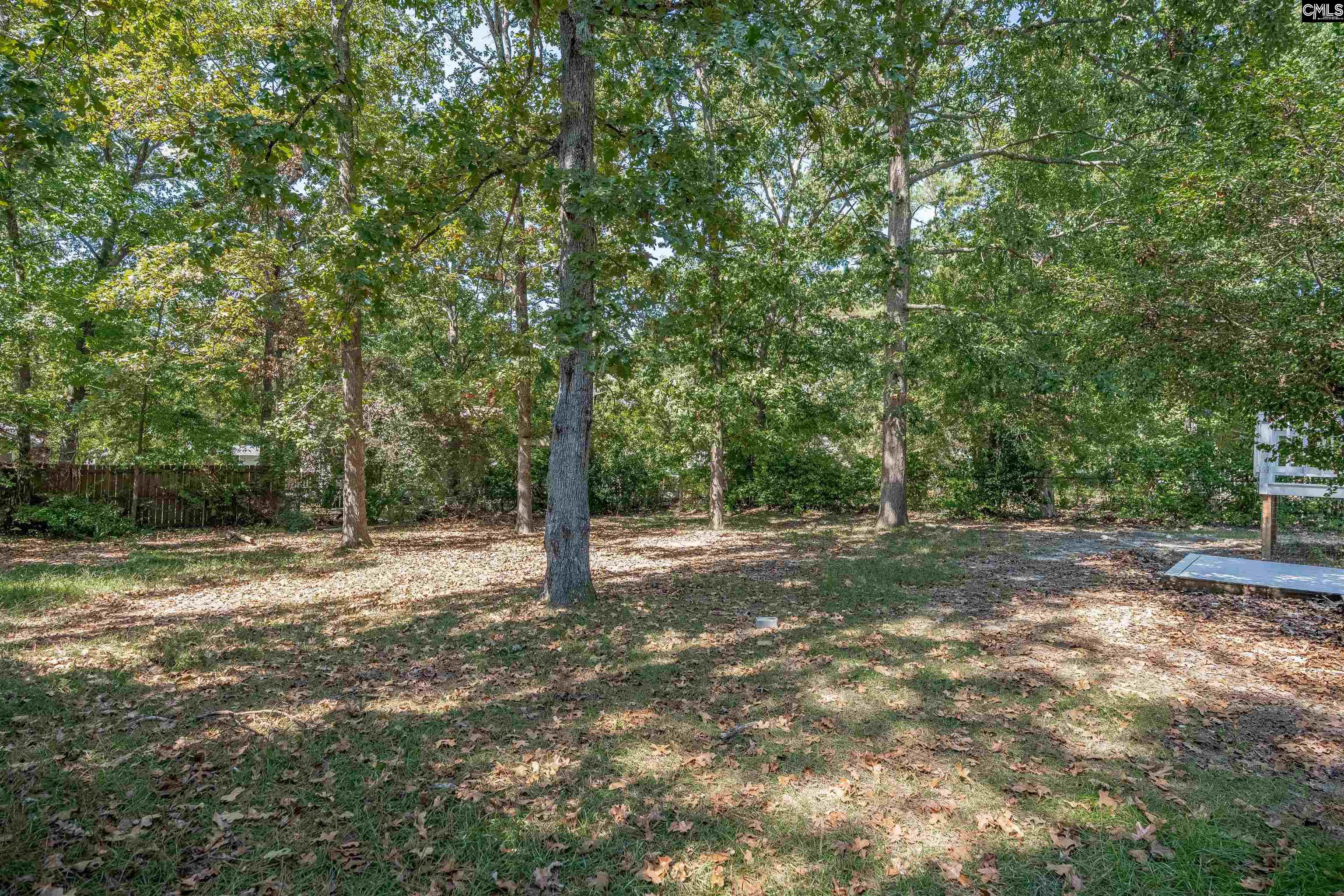 204 River Song Road, Irmo — photo 33