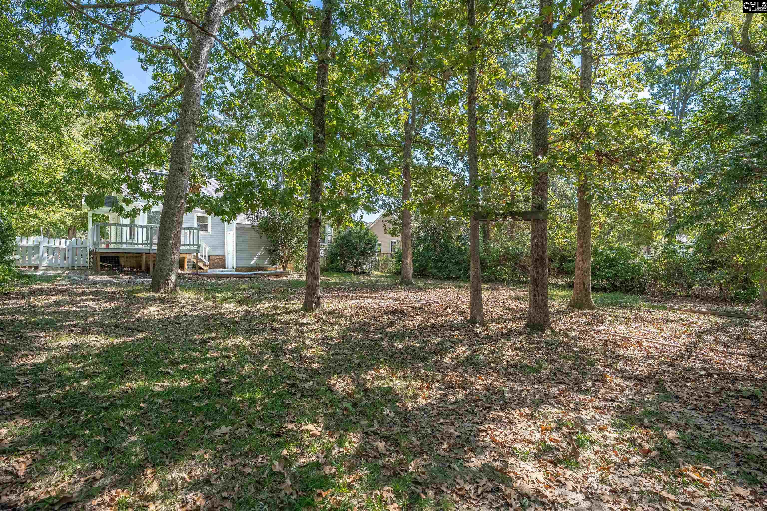 204 River Song Road, Irmo — photo 35