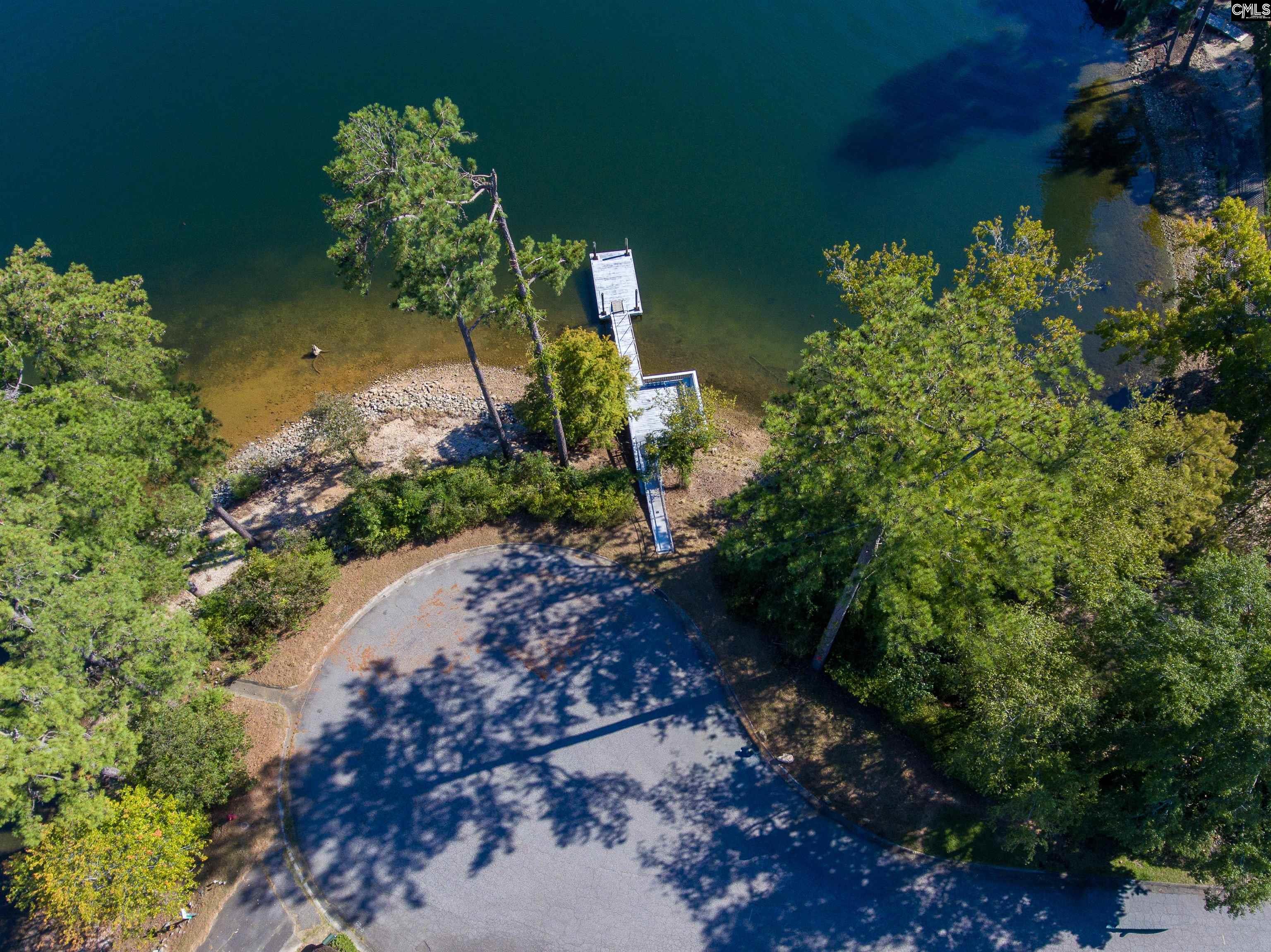 0 Dawn Island Trail, Chapin — photo 8