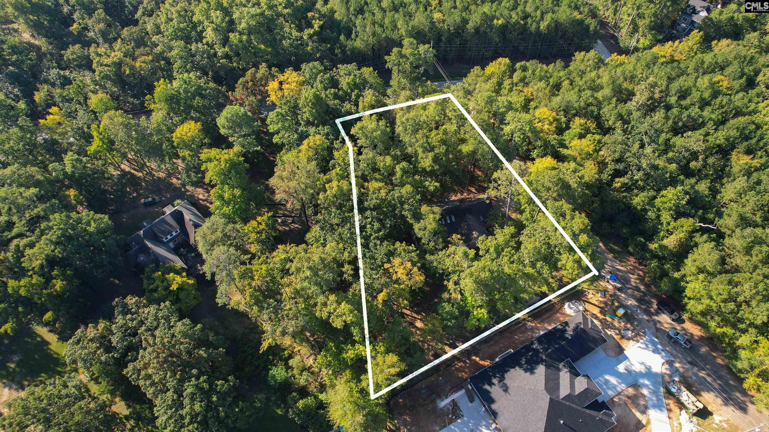 1004 Fieldstone Road, Chapin — photo 37