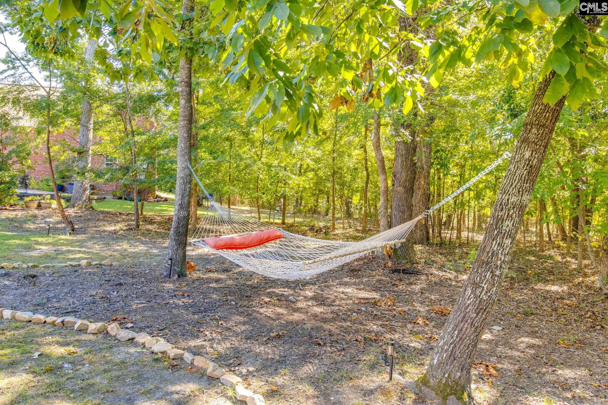 437 Caro Lane, Chapin — photo 48
