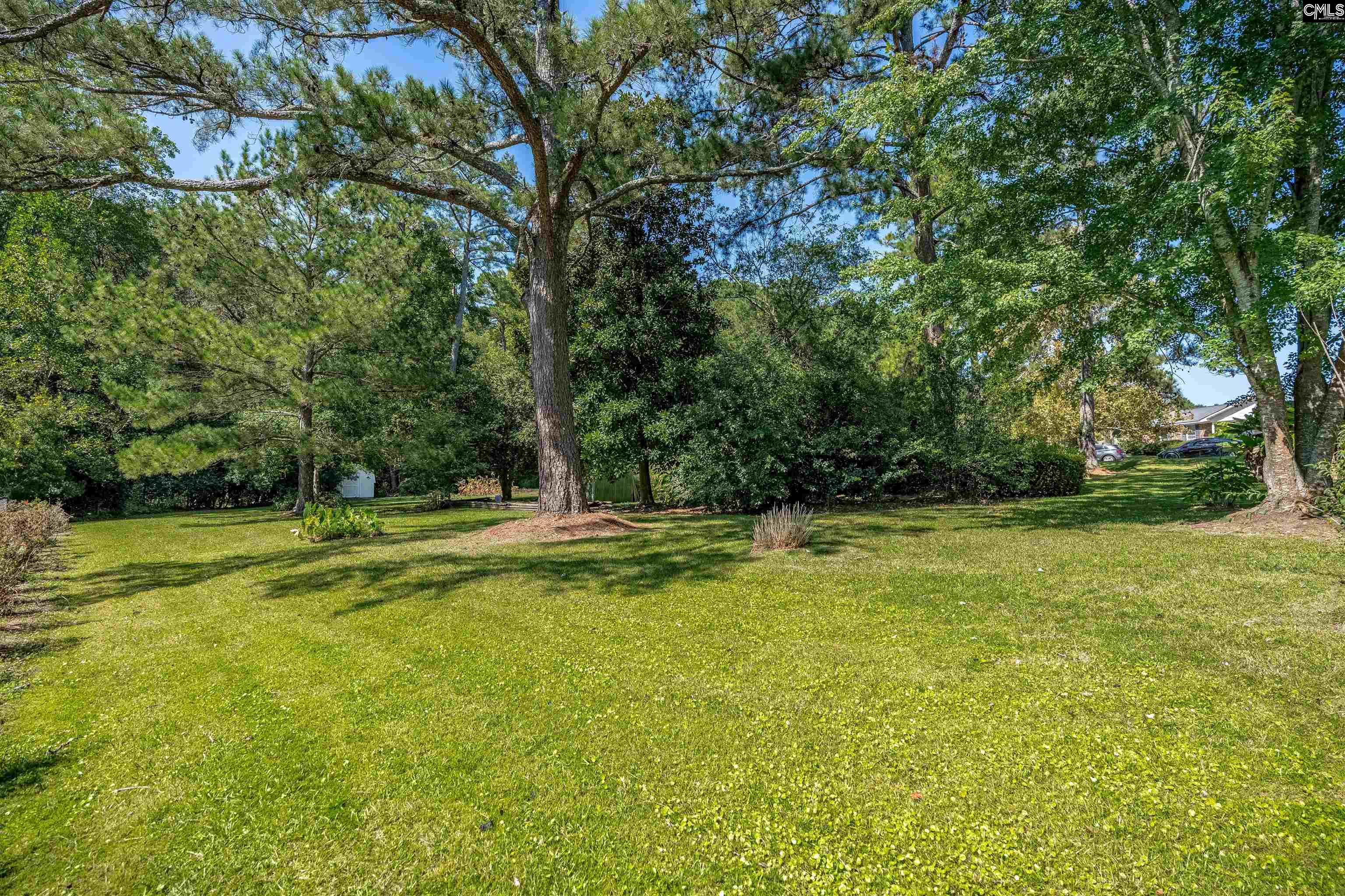 175 Saint David Drive, West Columbia — photo 13