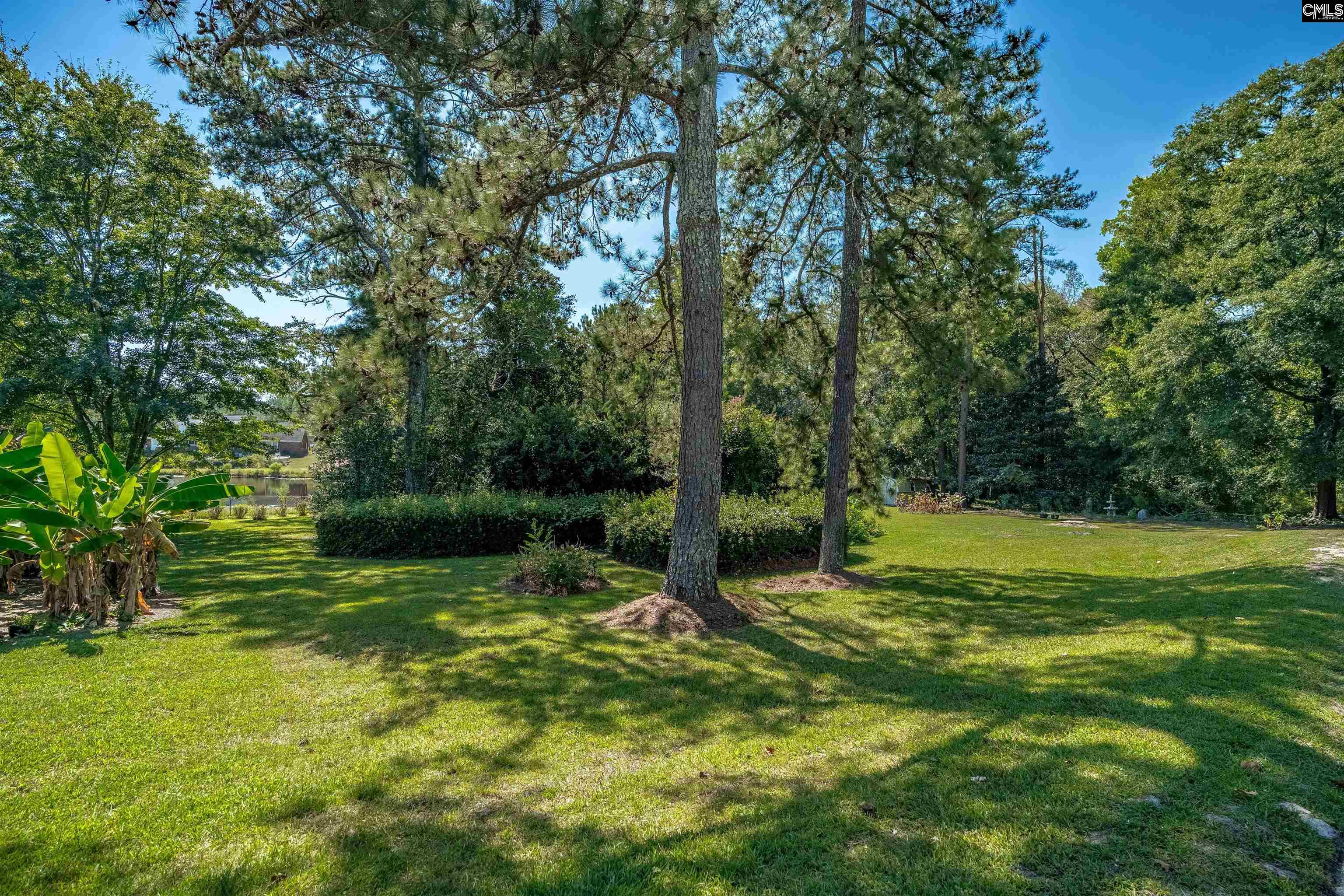 175 Saint David Drive, West Columbia — photo 14