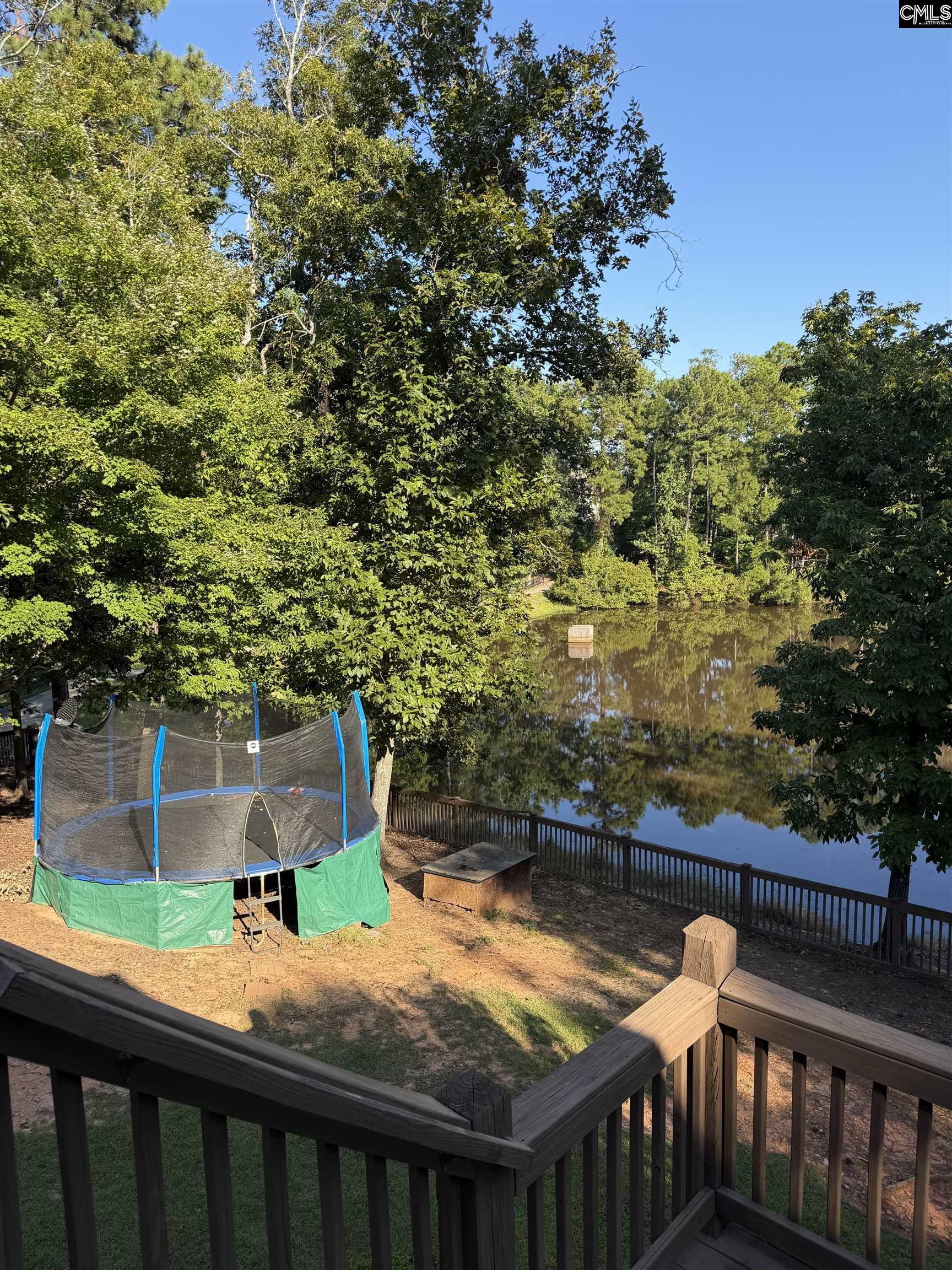 326 Dungannon Drive, Lexington — photo 47