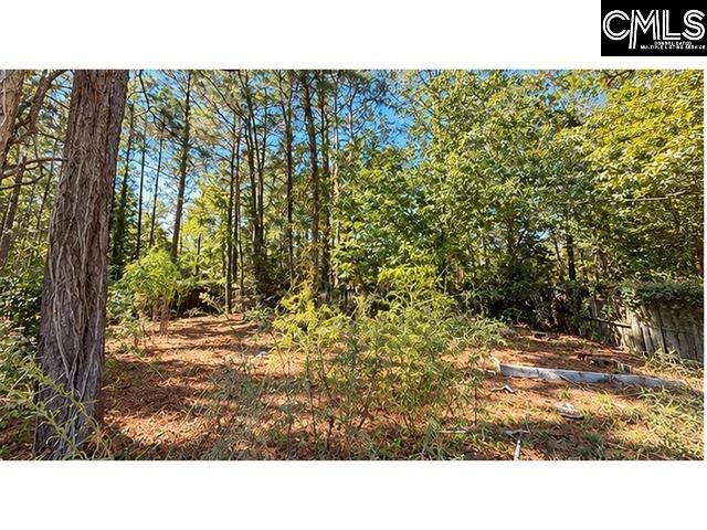 318 Water Hickory Way, Columbia — photo 17