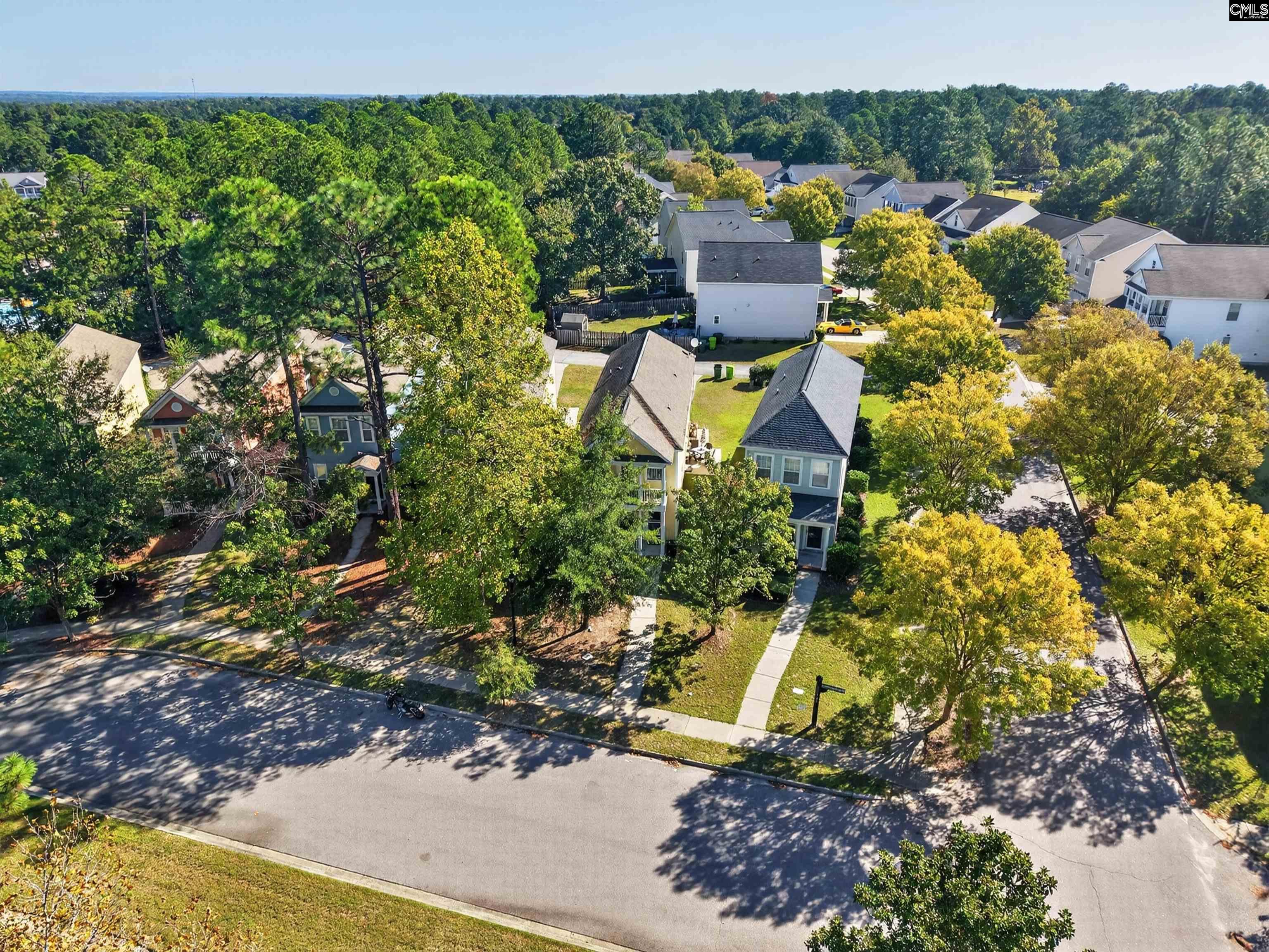 160 Palmetto Park Circle, Columbia — photo 30