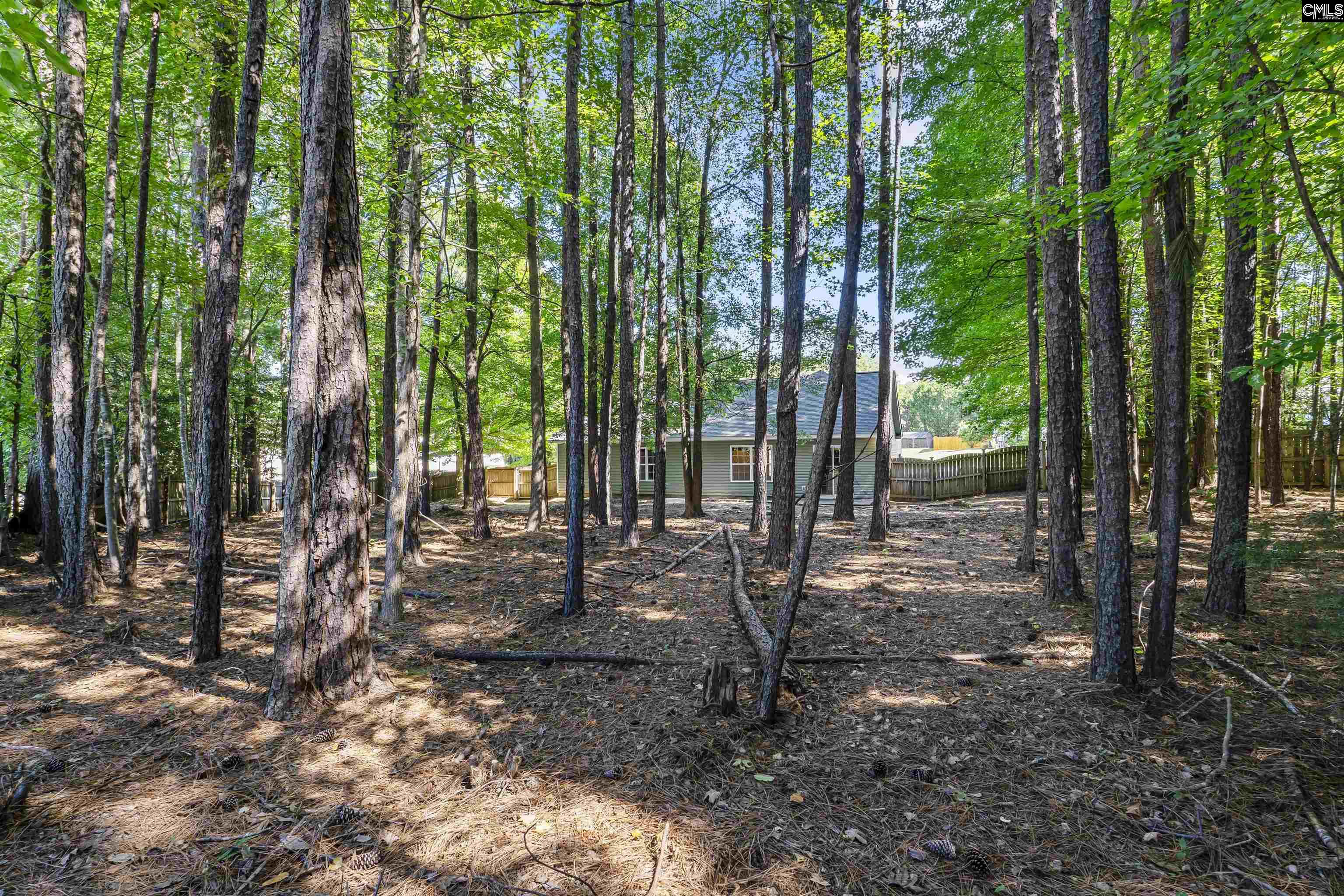 246 Blythe Creek Drive, Blythewood — photo 30