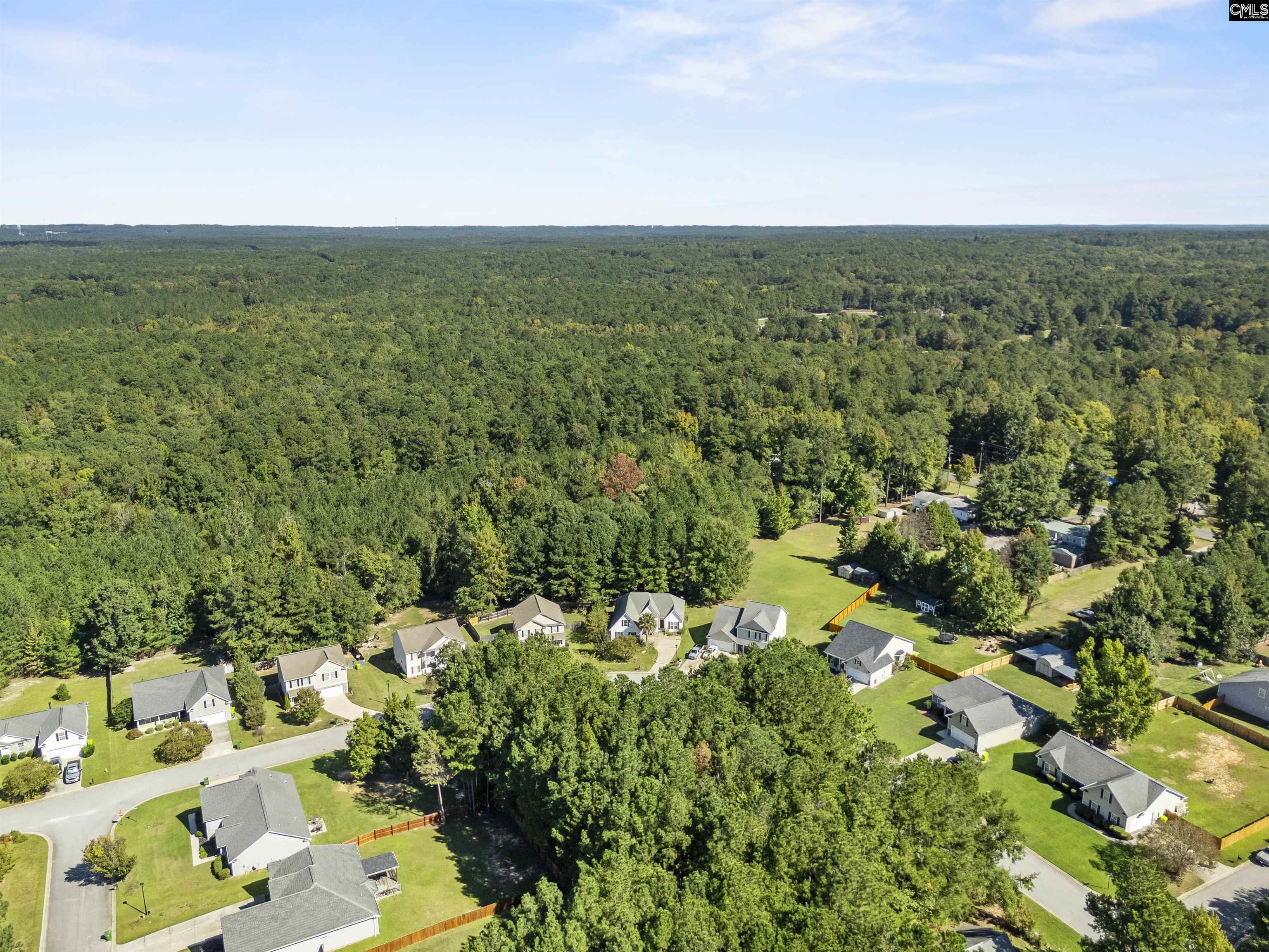 246 Blythe Creek Drive, Blythewood — photo 40