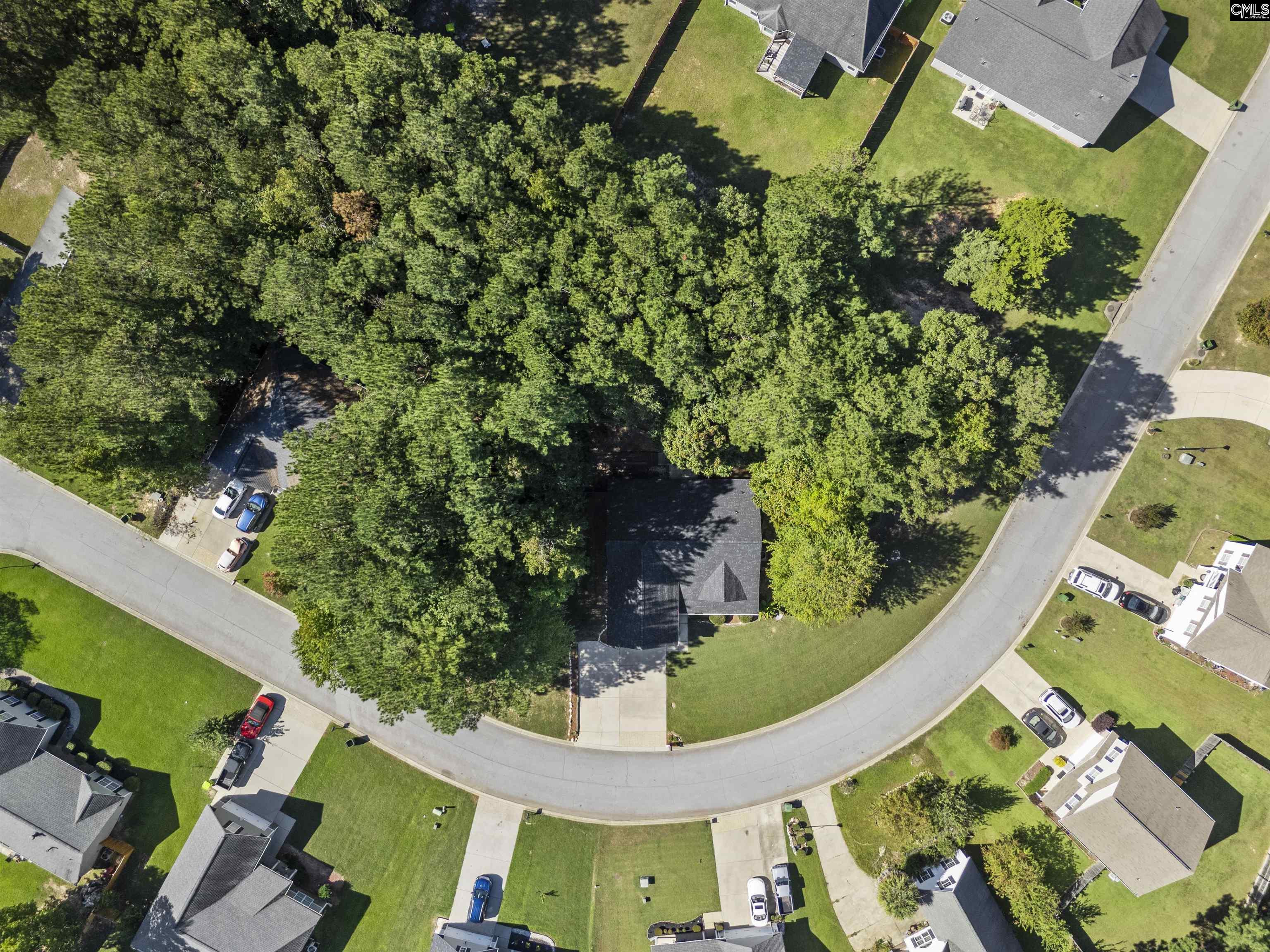 246 Blythe Creek Drive, Blythewood — photo 41