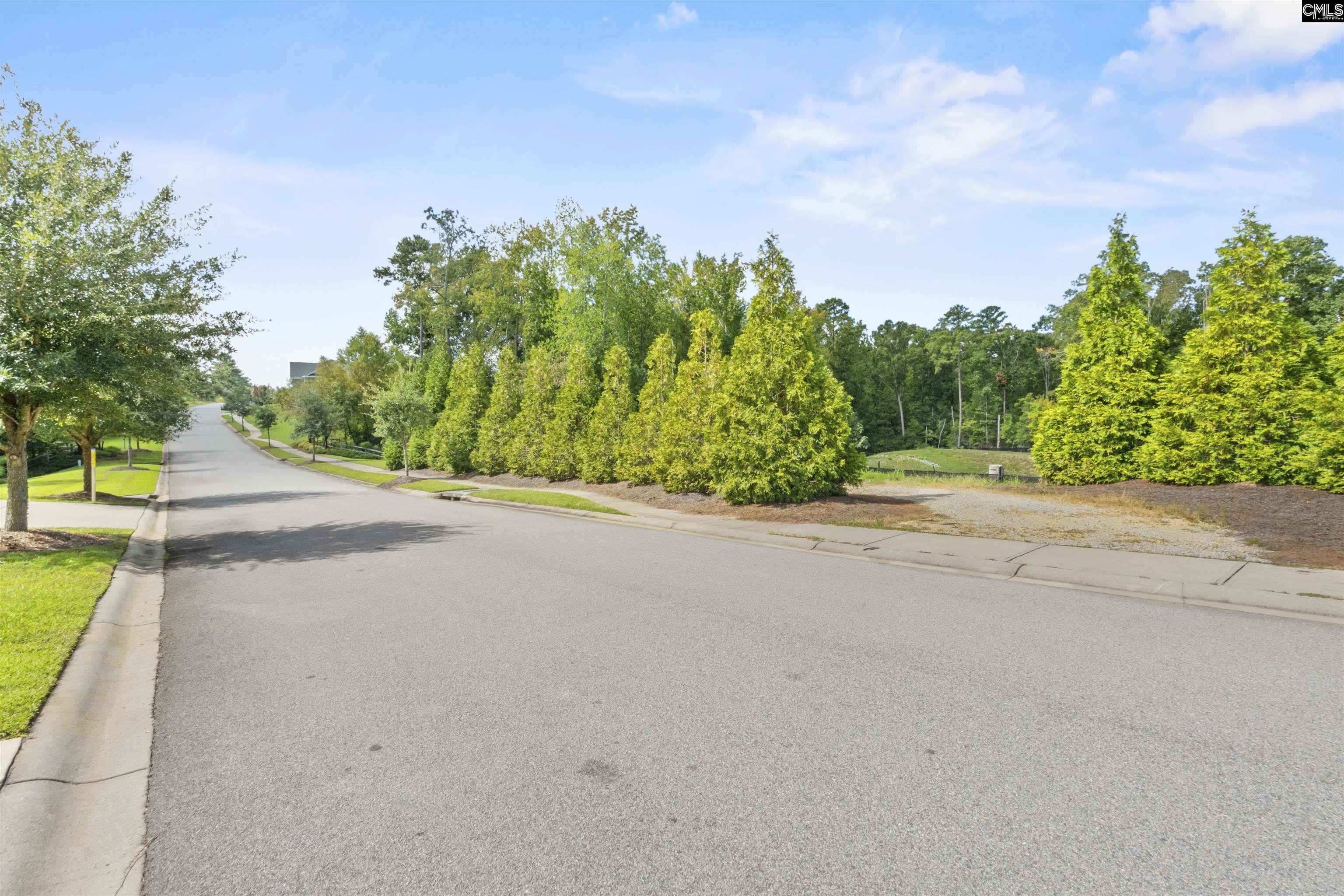 215 Sterling Brook Drive, Lexington — photo 49
