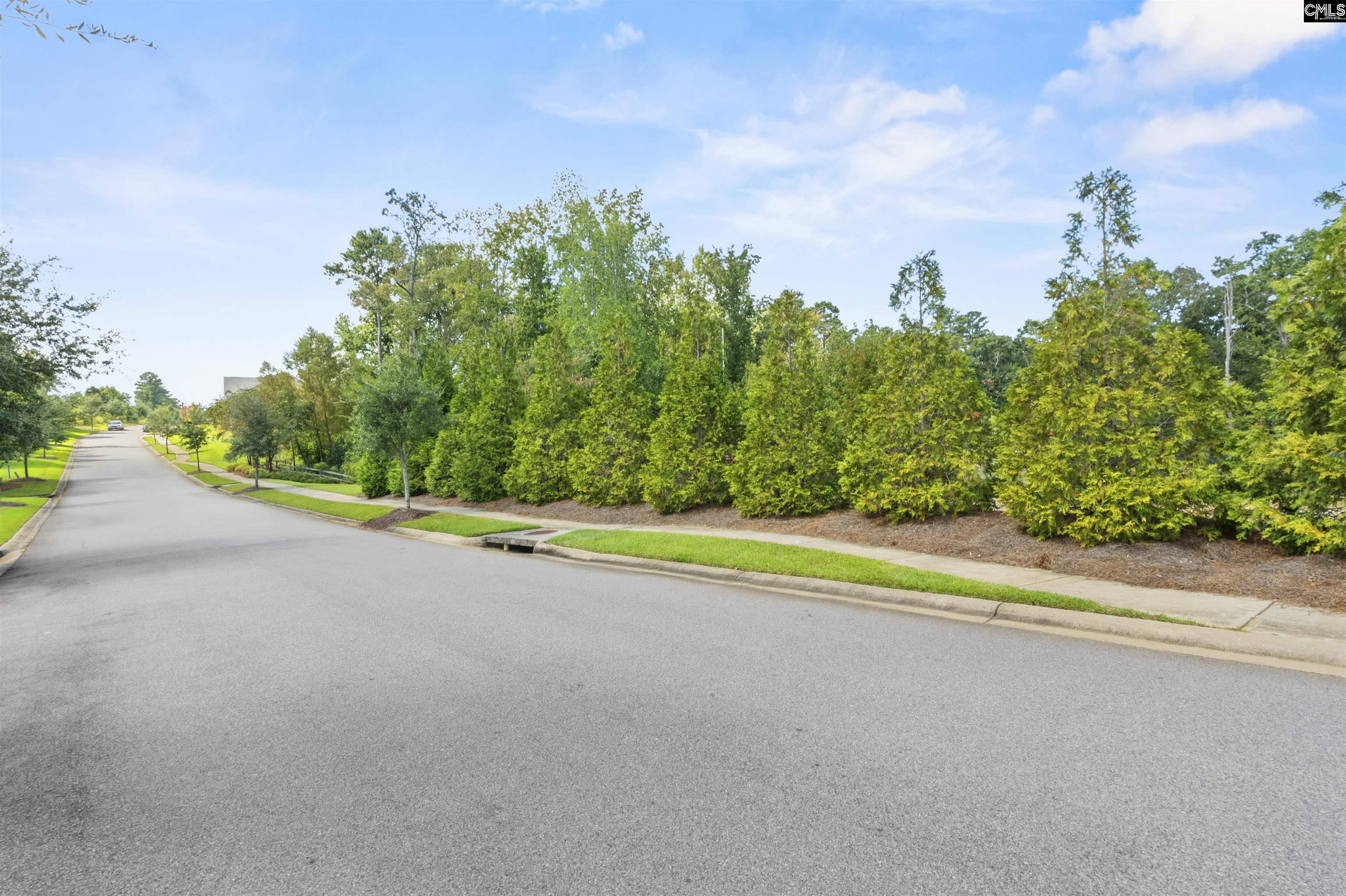 215 Sterling Brook Drive, Lexington — photo 50
