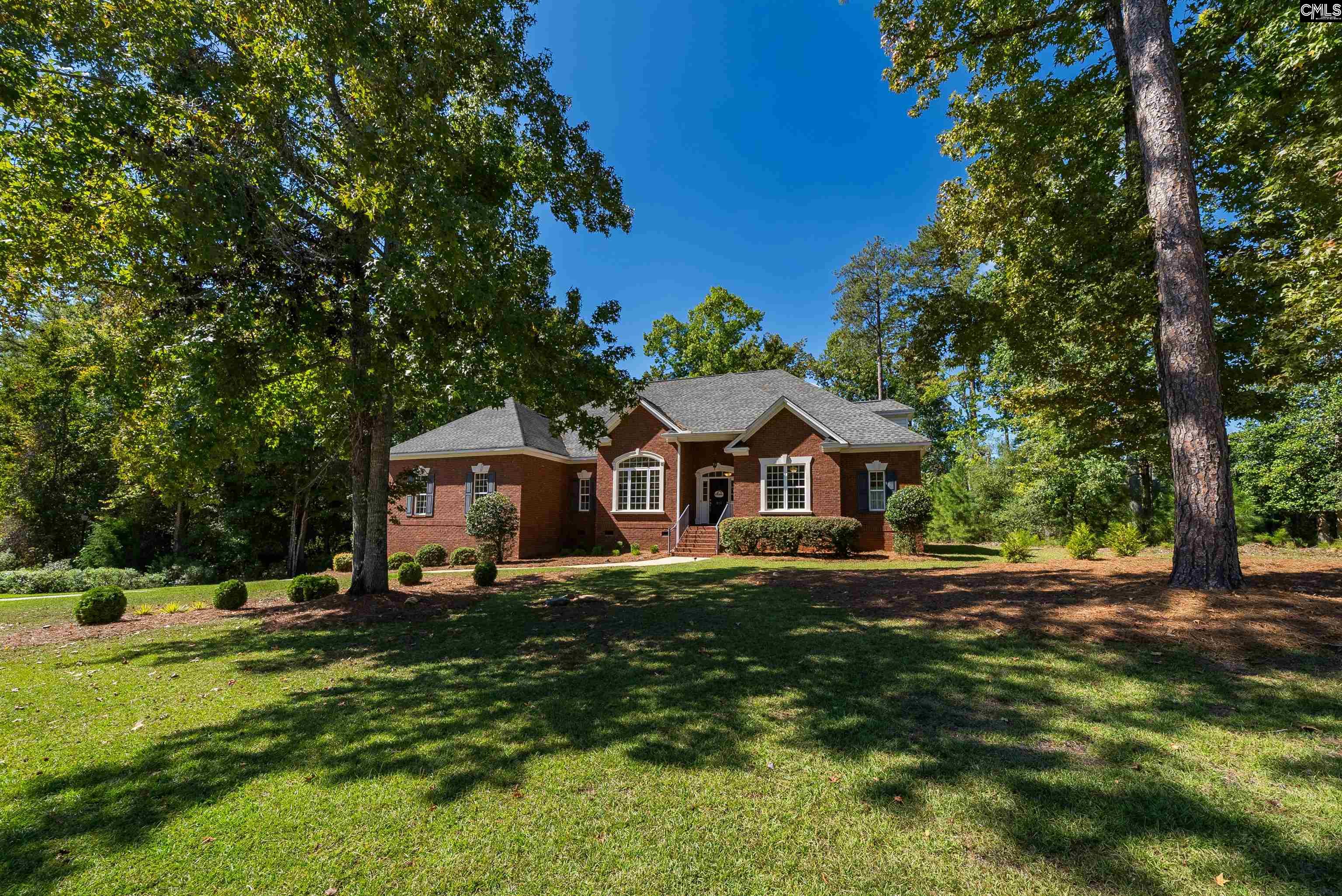 311 Lookout Hill Drive, Chapin — photo 49