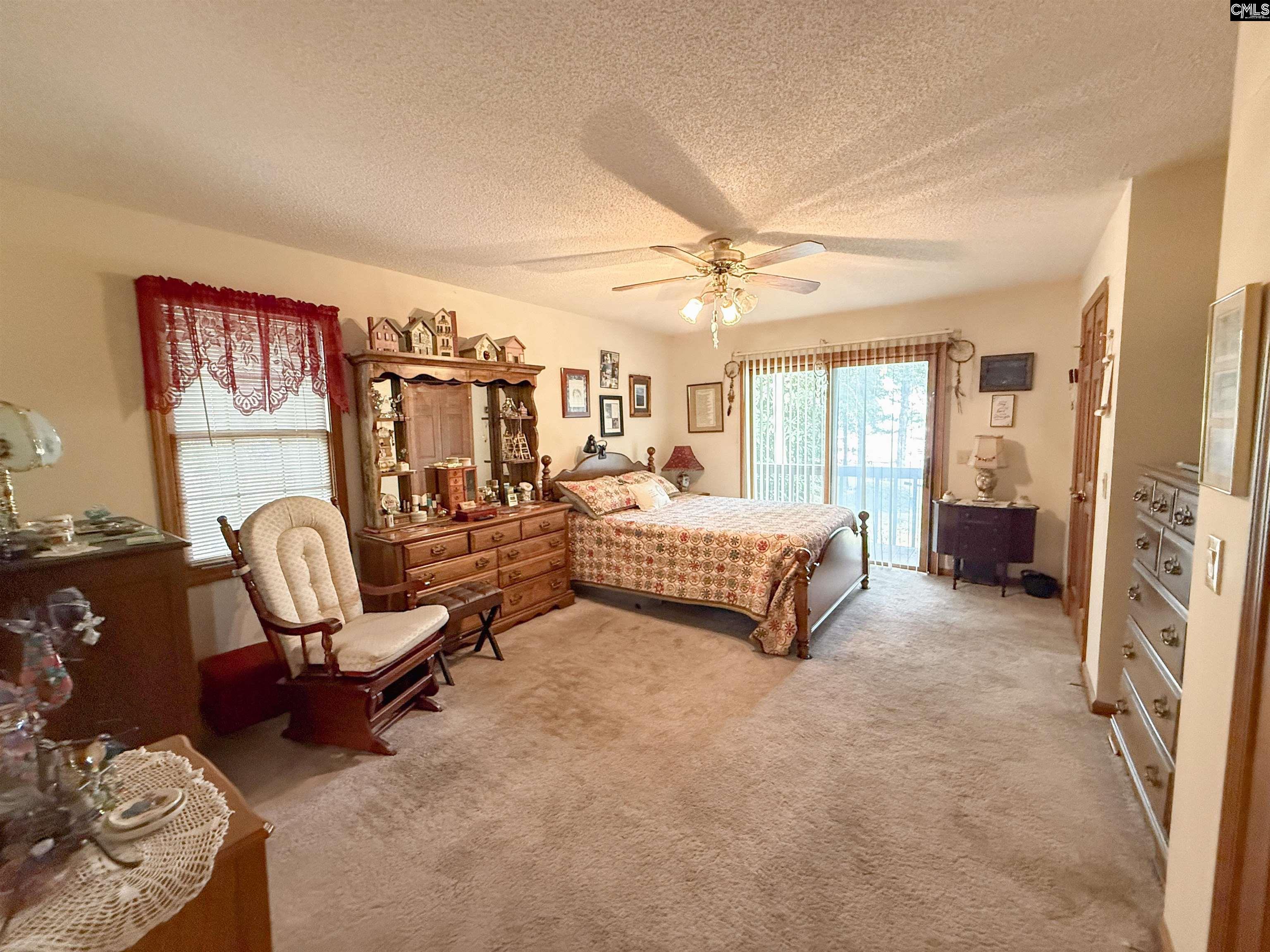 111 Old Cedar Point, Chapin — photo 15