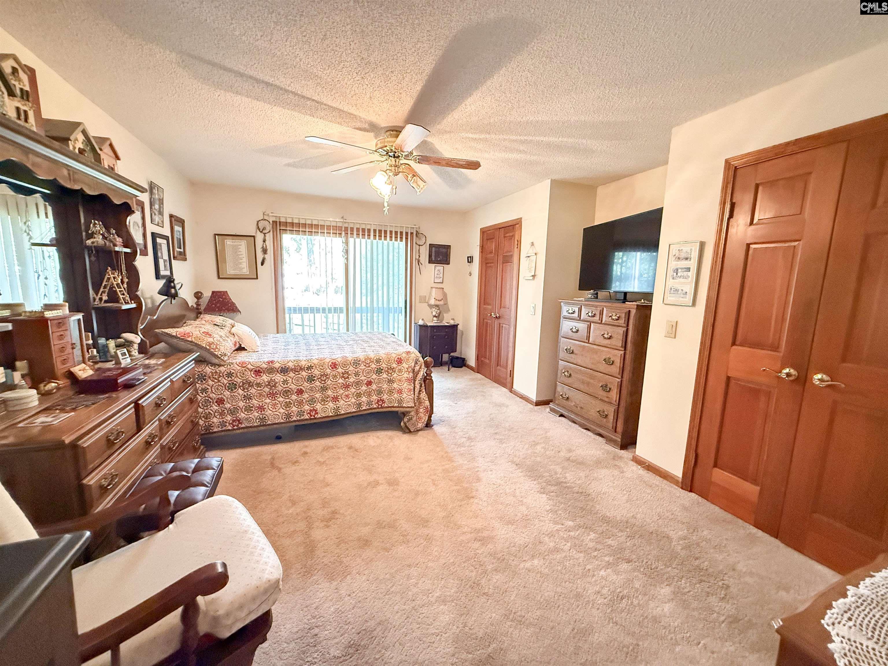 111 Old Cedar Point, Chapin — photo 16
