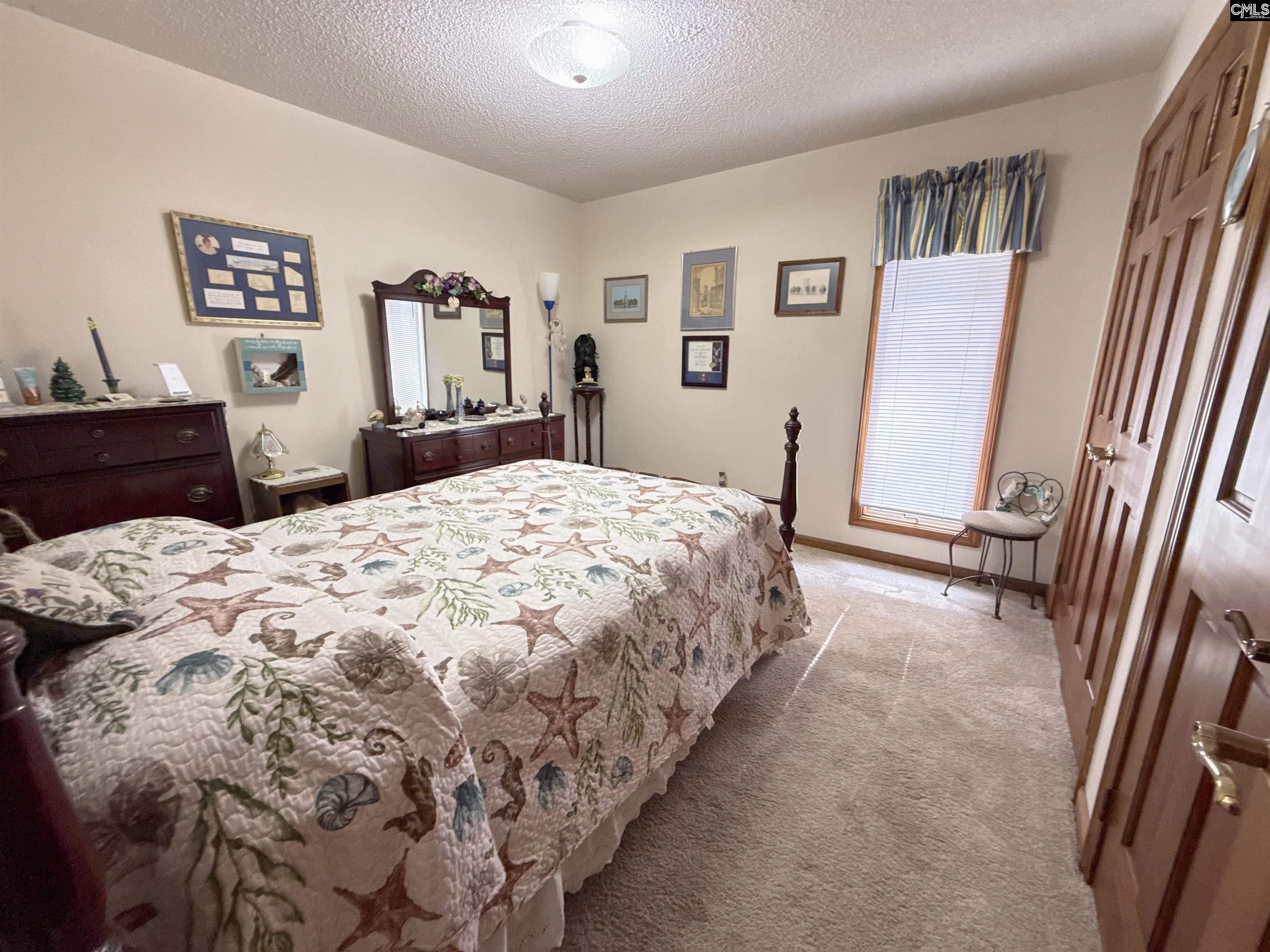 111 Old Cedar Point, Chapin — photo 19