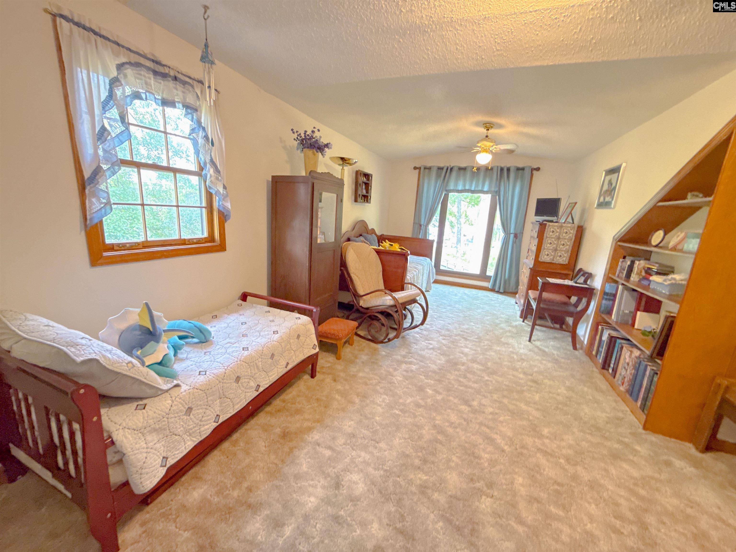 111 Old Cedar Point, Chapin — photo 22