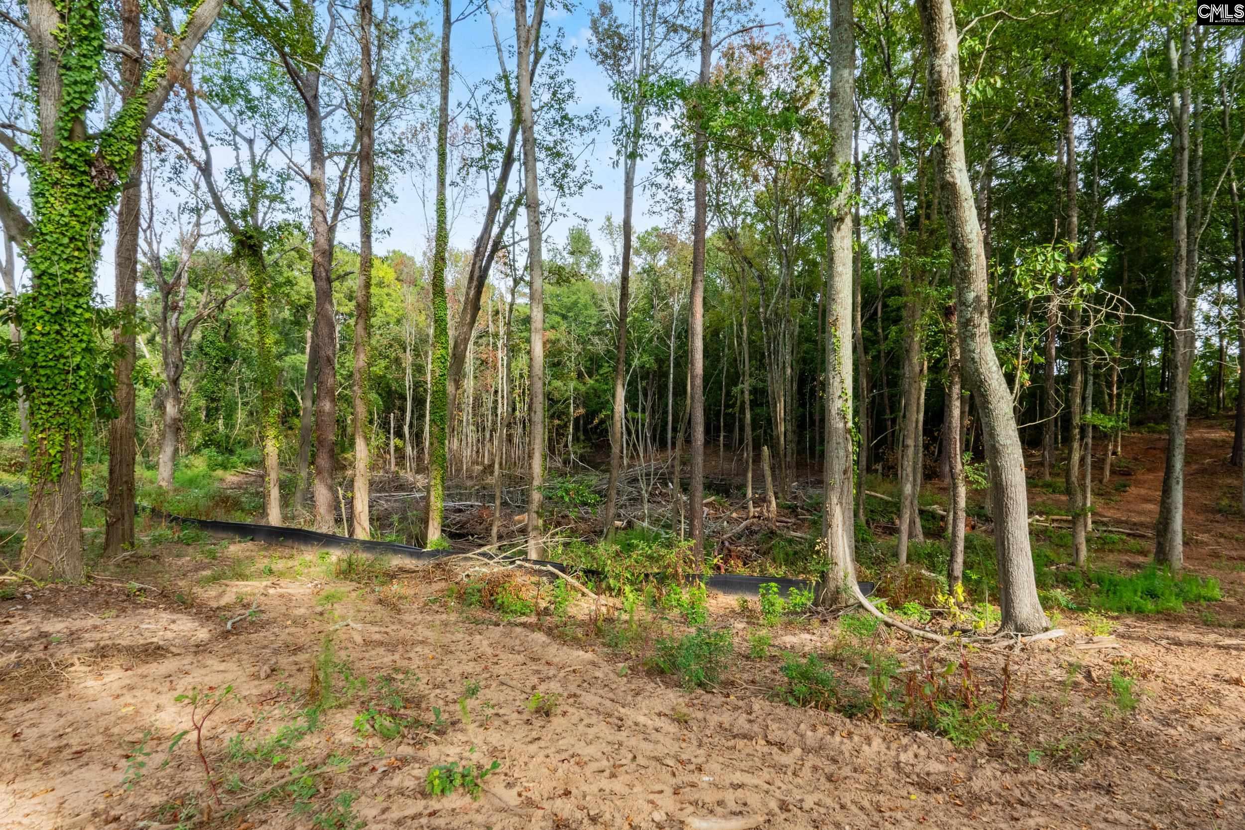 890 Wise Ferry Road, Lexington — photo 18