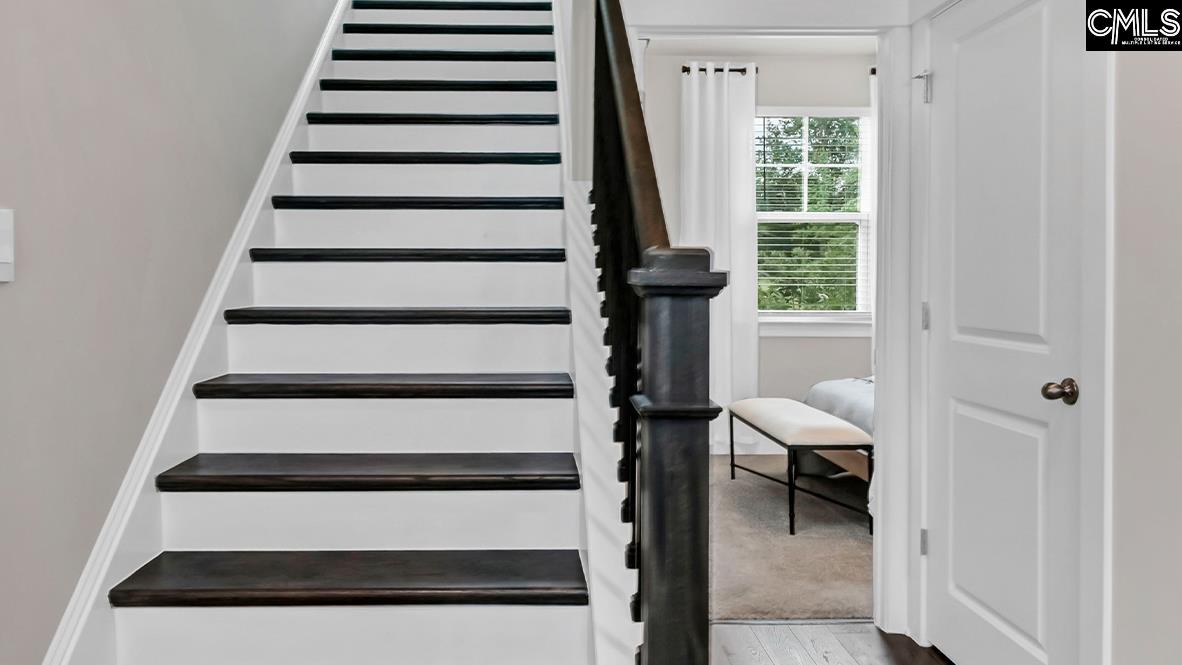 205 Sunny Stream Drive, Chapin — photo 24