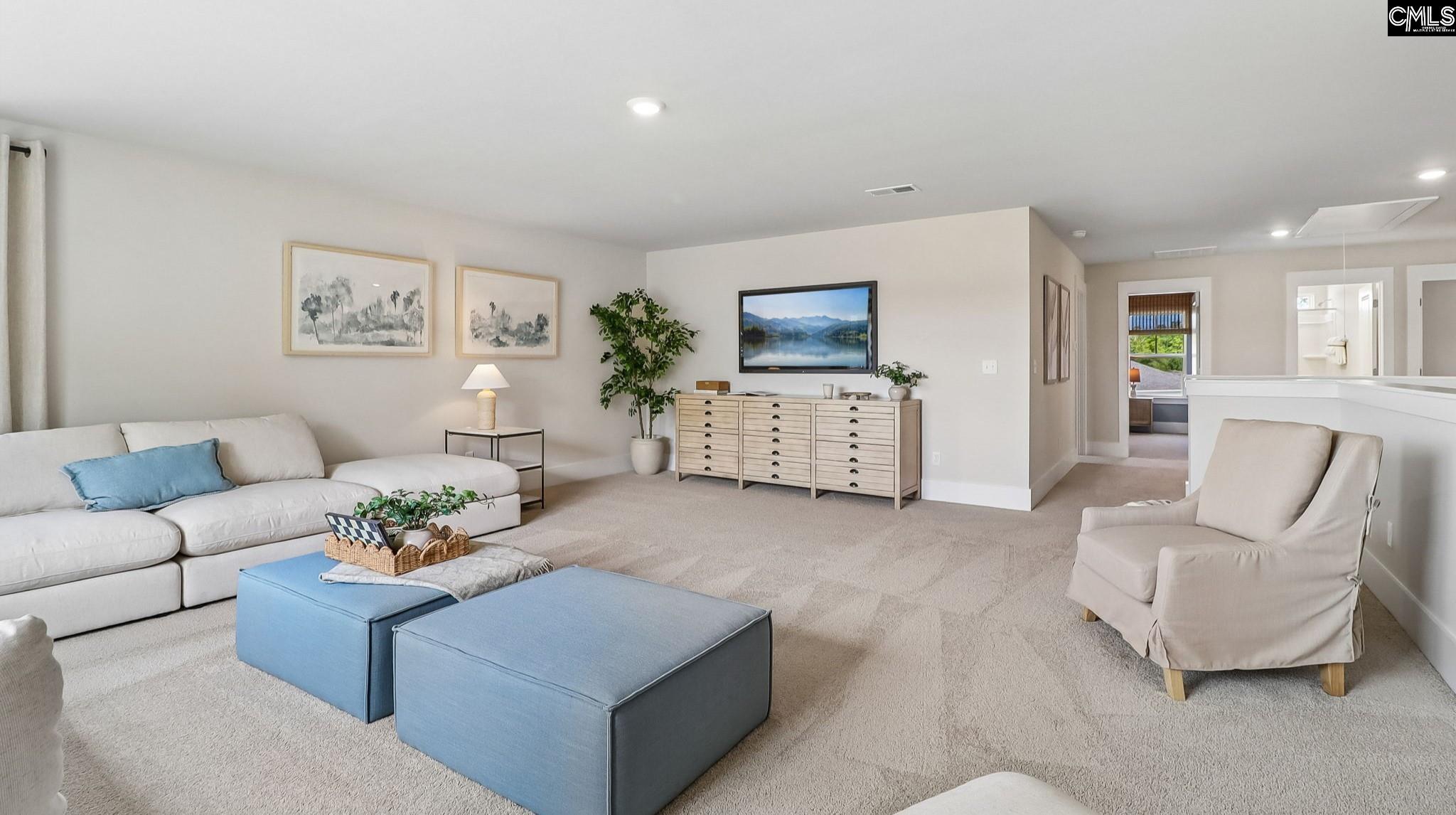 209 Sunny Stream Drive, Chapin — photo 18