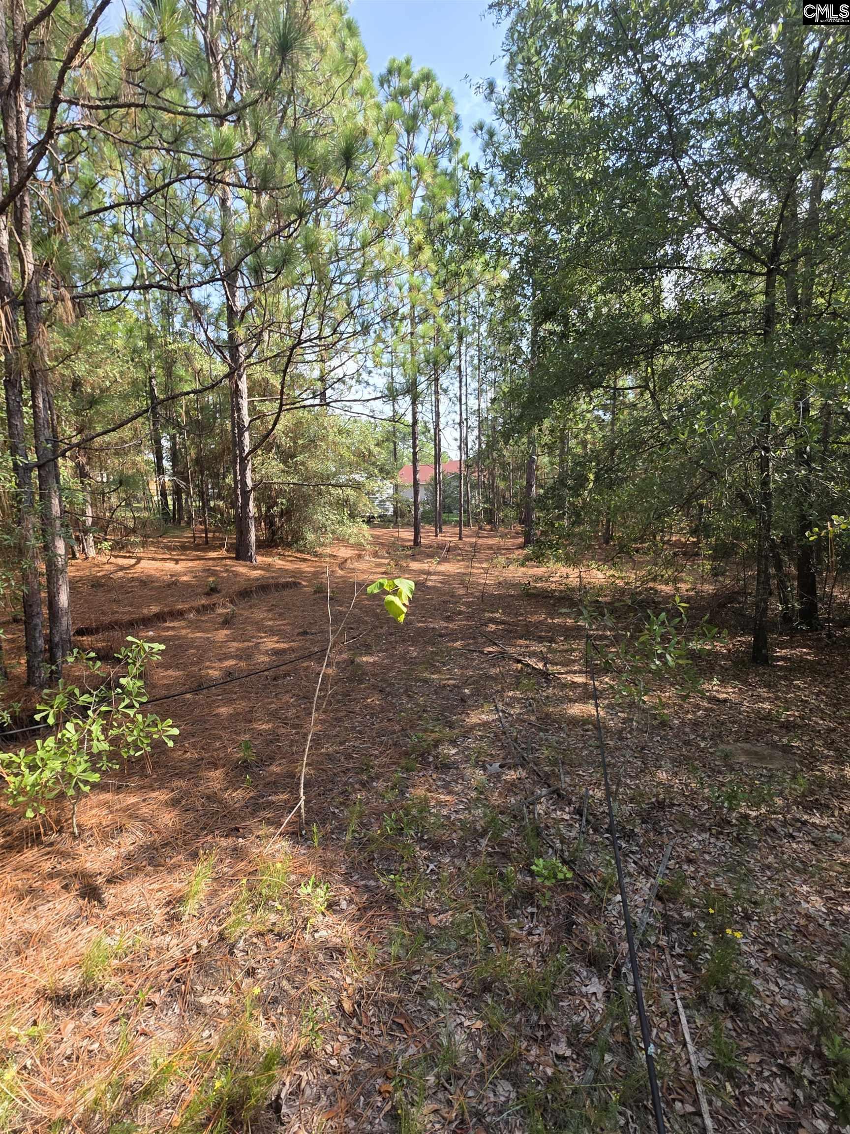 1020 Grandview Lane, West Columbia — photo 13