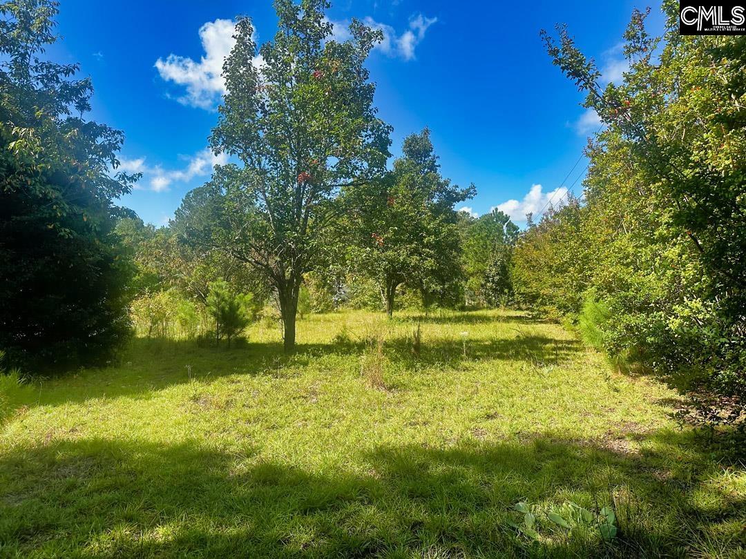 1392 Boiling Springs Road, Lexington