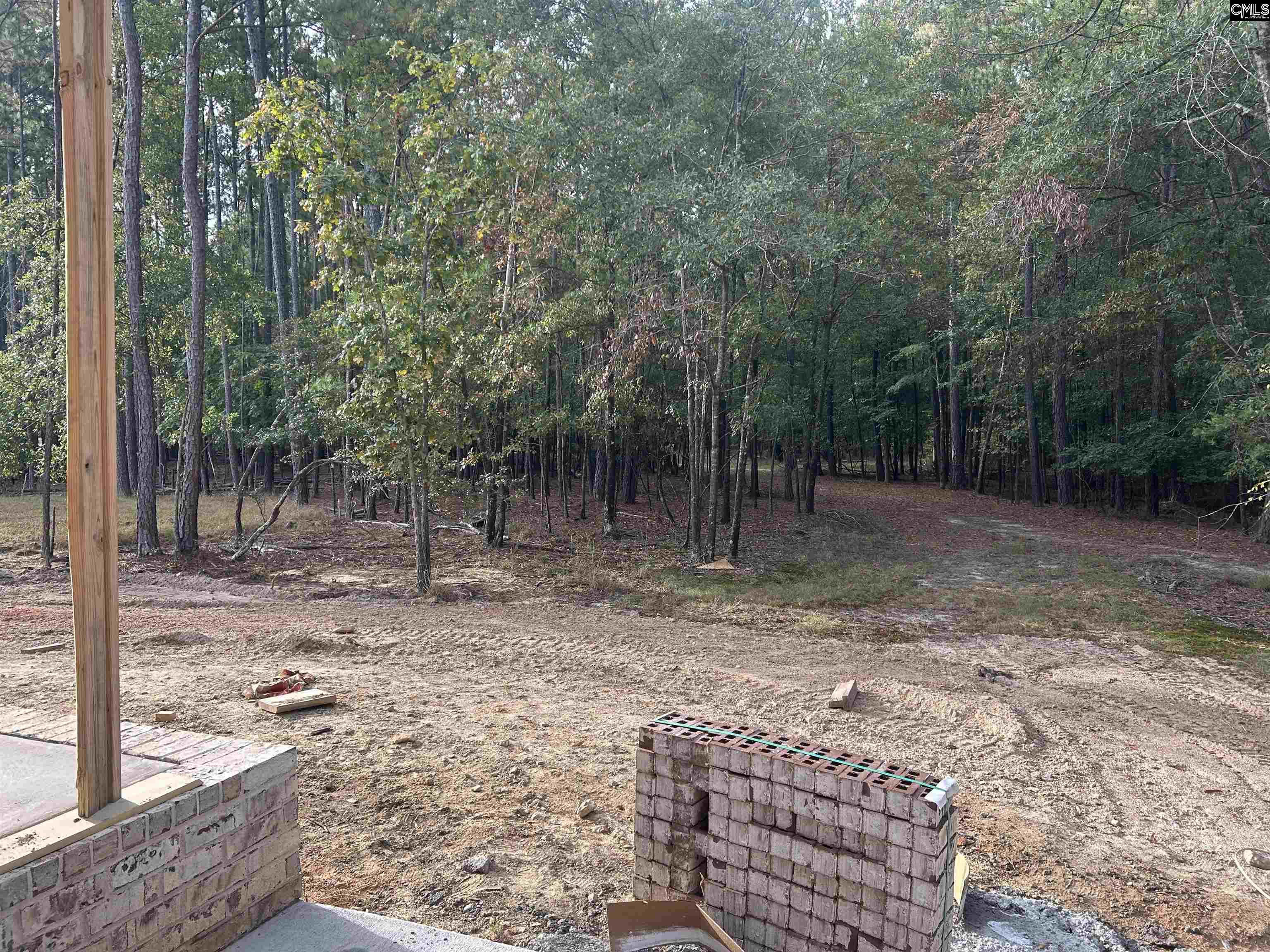 128 Stewart Landing Drive, Prosperity — photo 19